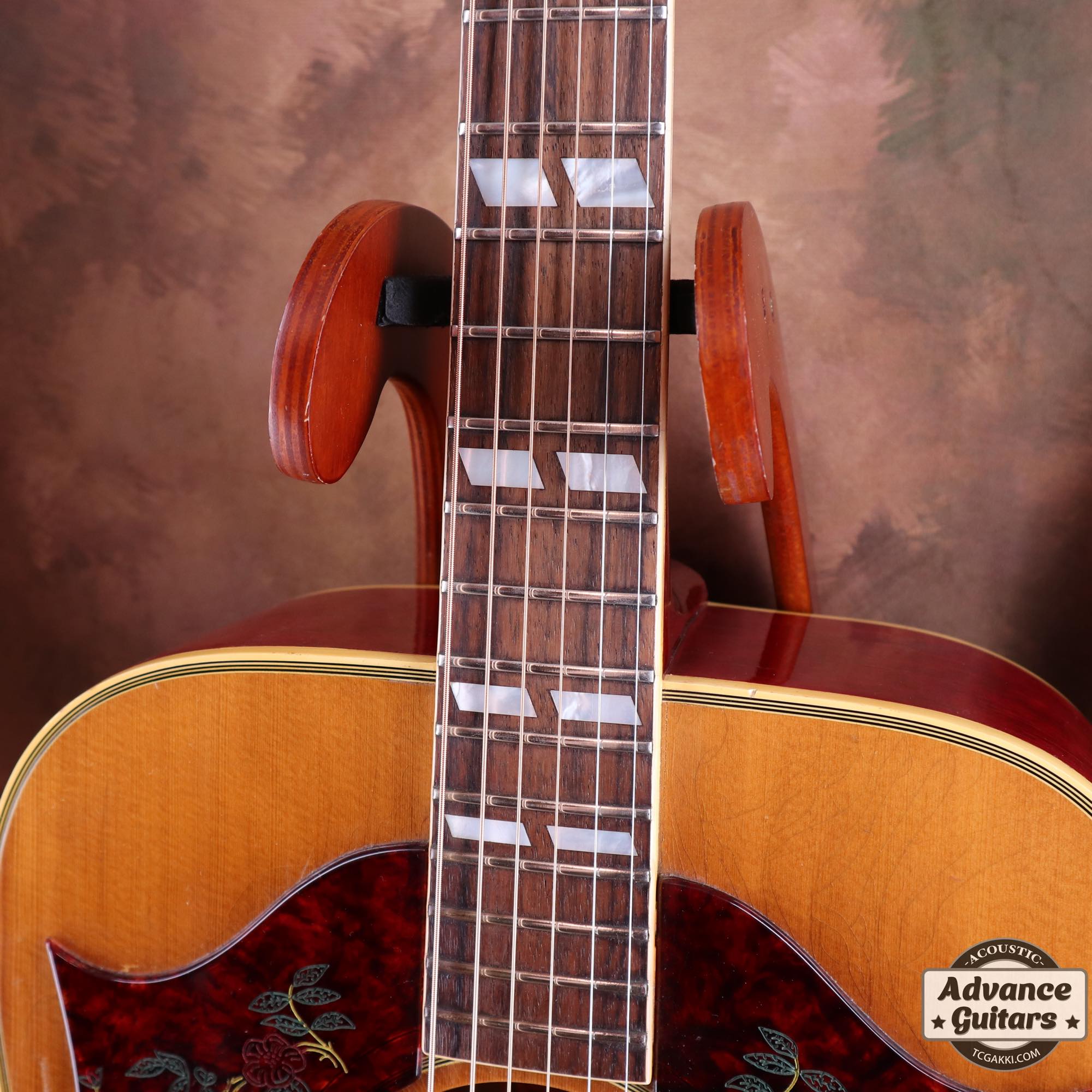 1968 Dove Double Pickguard - TC楽器 - TCGAKKI