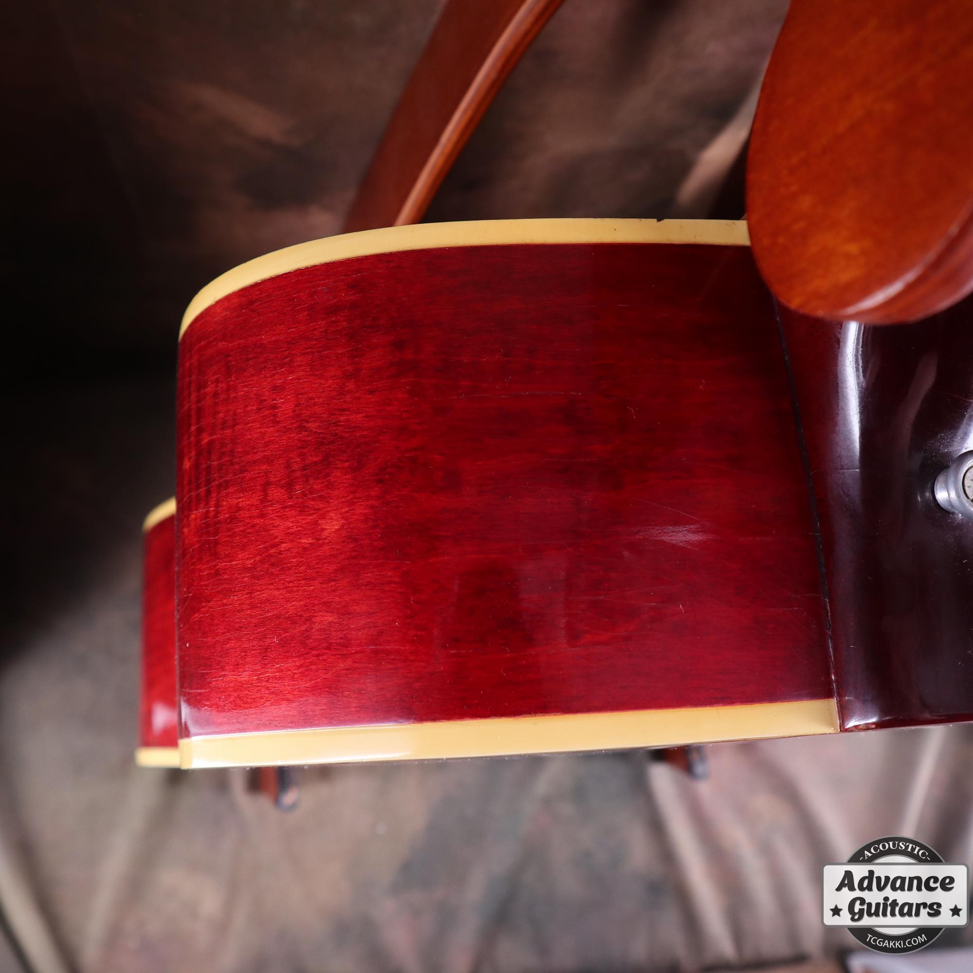 1968 Dove Double Pickguard - TC楽器 - TCGAKKI