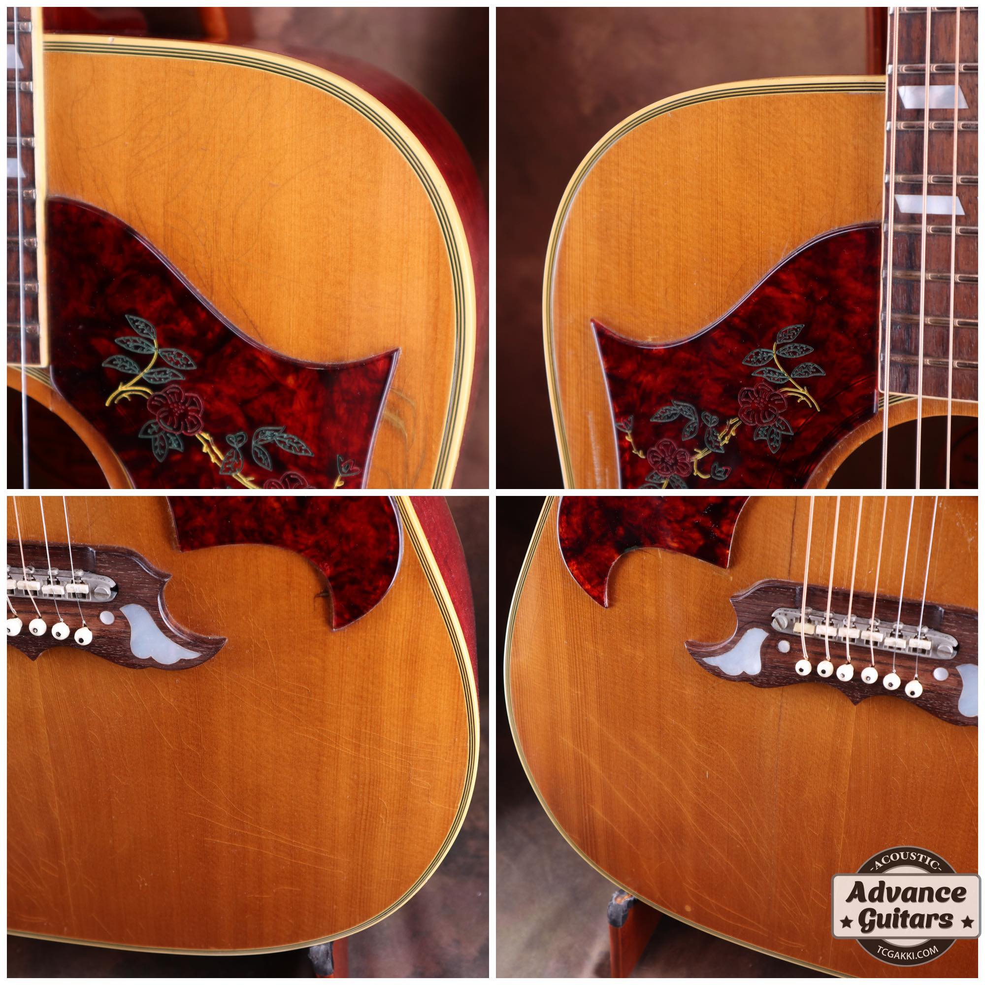 1968 Dove Double Pickguard - TC楽器 - TCGAKKI