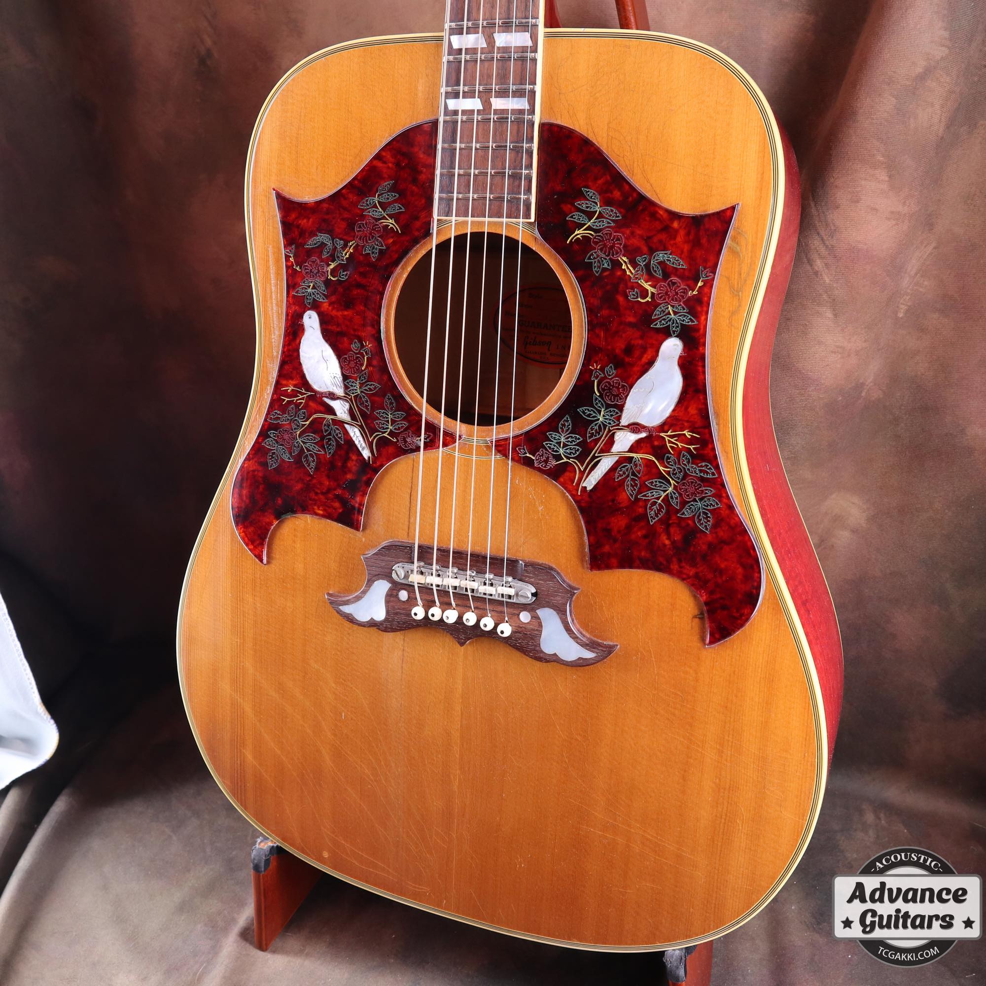 1968 Dove Double Pickguard - TC楽器 - TCGAKKI