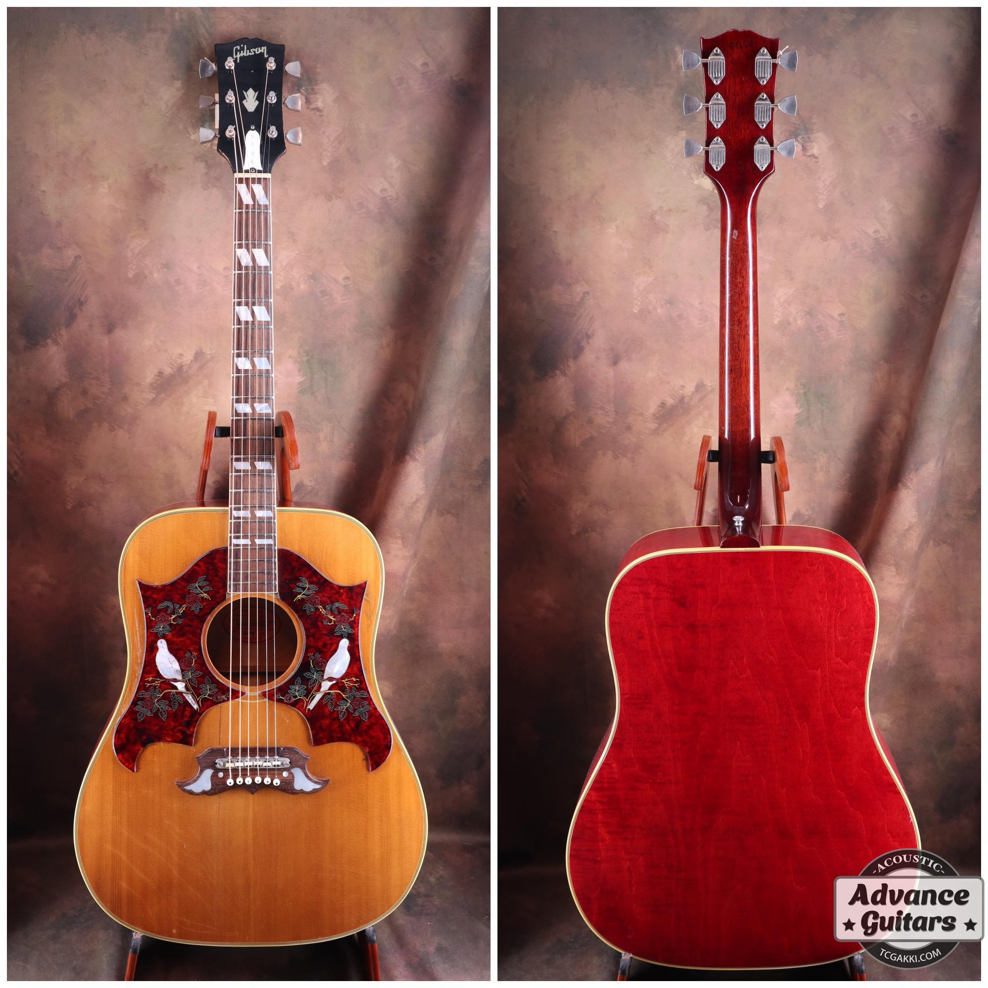 CANDA GibsonDoveモデルビンテージ 1968年製 Dove Double Pickguard
