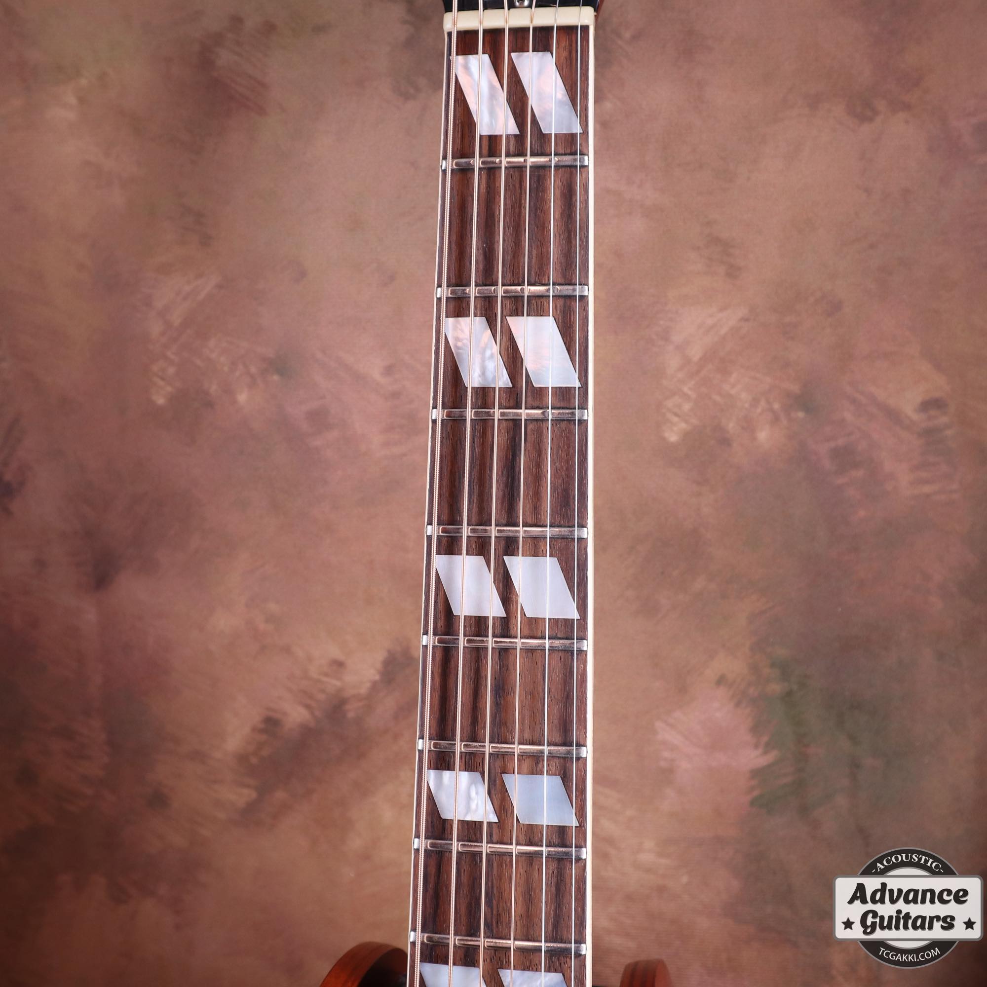1968 Dove Double Pickguard - TC楽器 - TCGAKKI