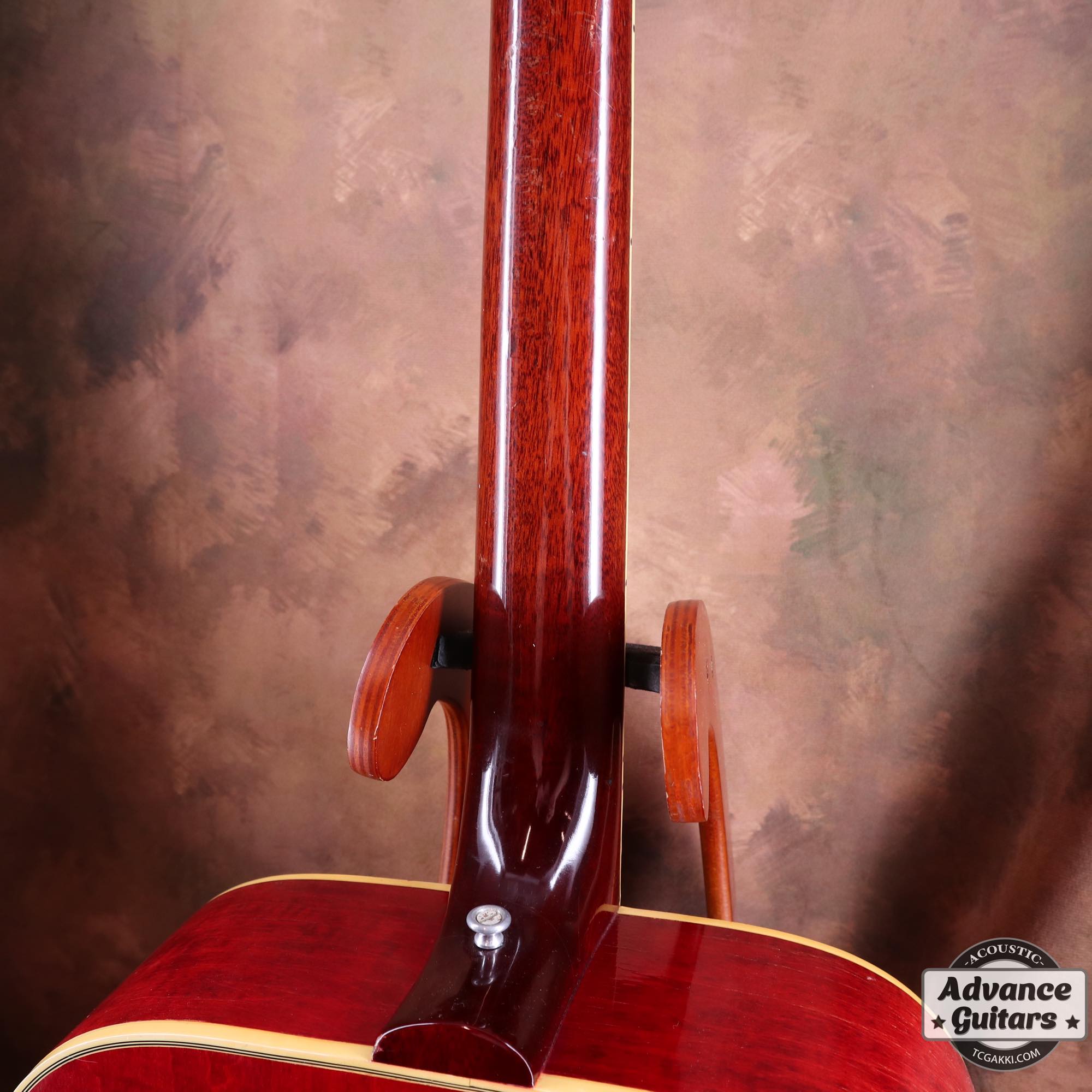 1968 Dove Double Pickguard - TC楽器 - TCGAKKI