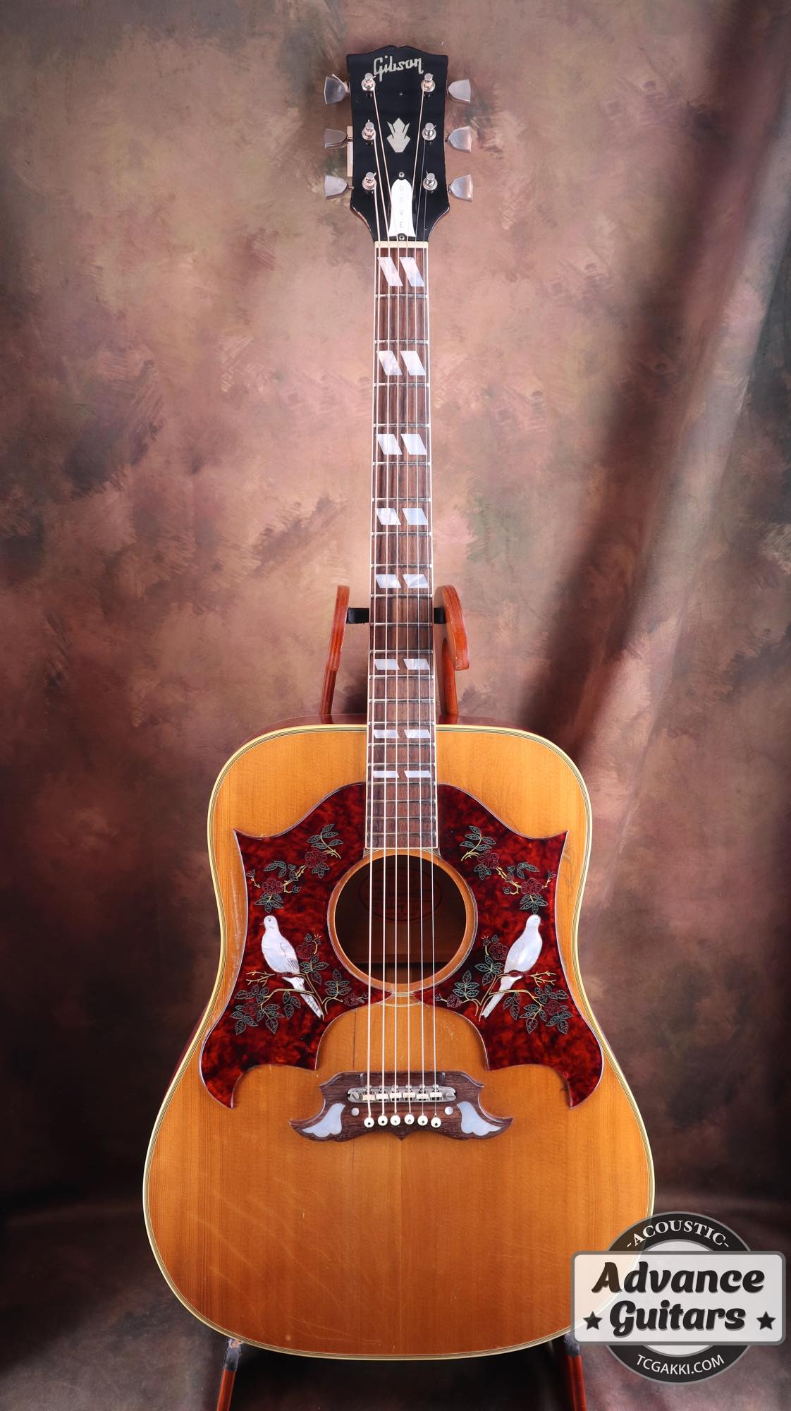 1968 Dove Double Pickguard - TC楽器 - TCGAKKI