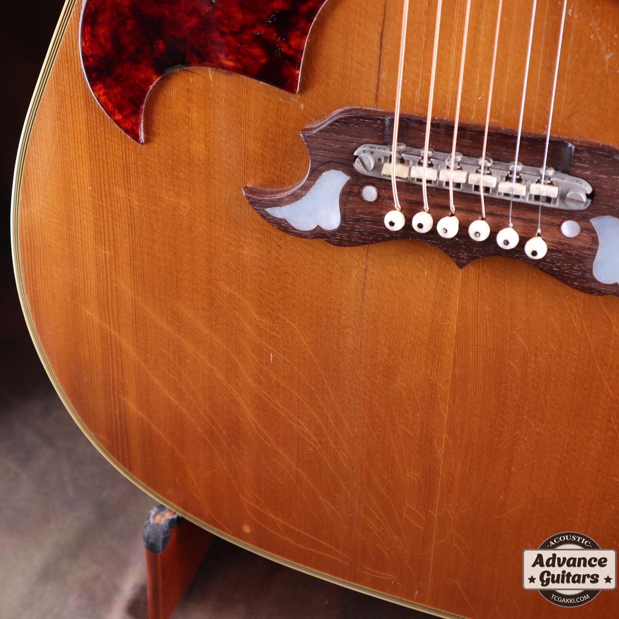 1968 Dove Double Pickguard - TC楽器 - TCGAKKI
