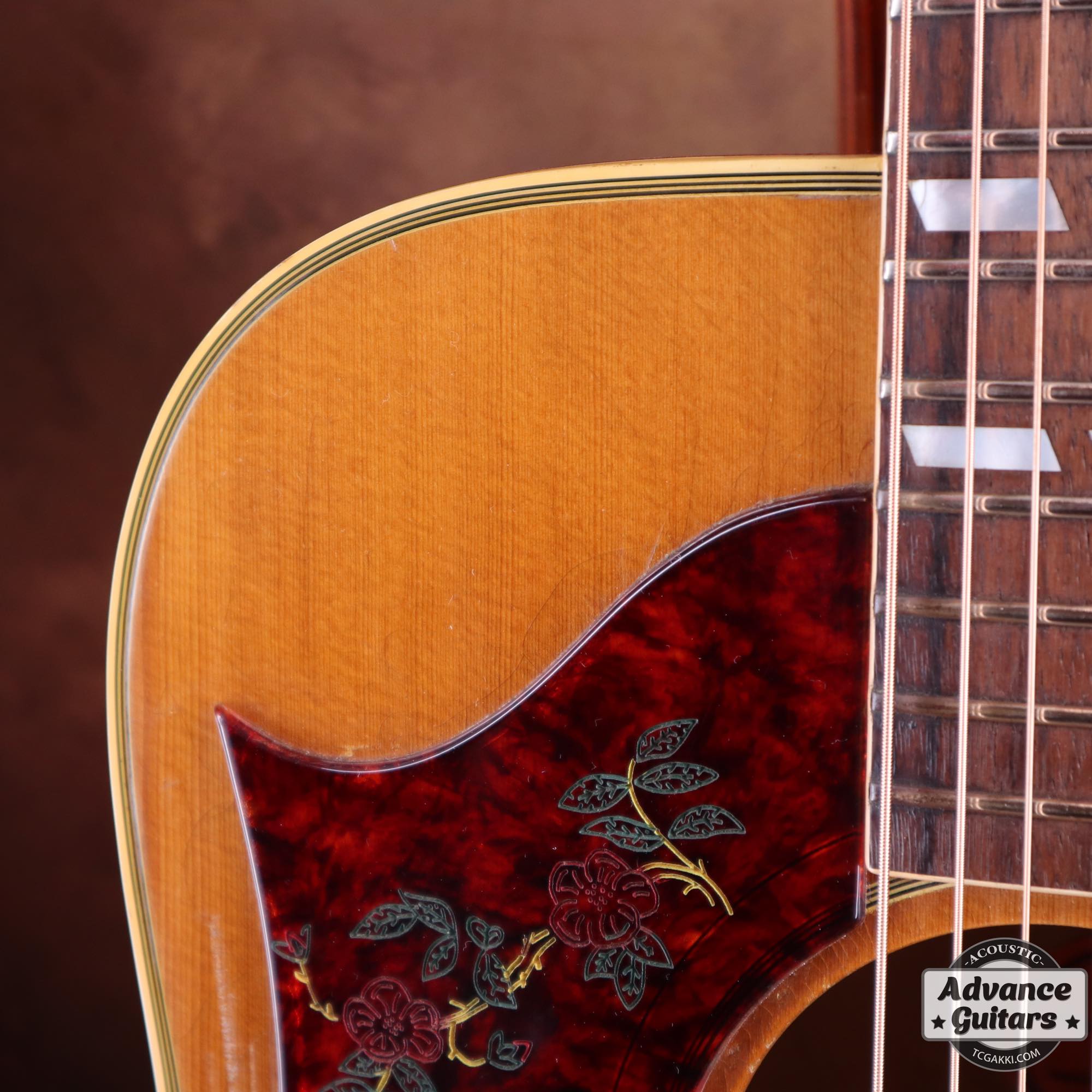1968 Dove Double Pickguard - TC楽器 - TCGAKKI