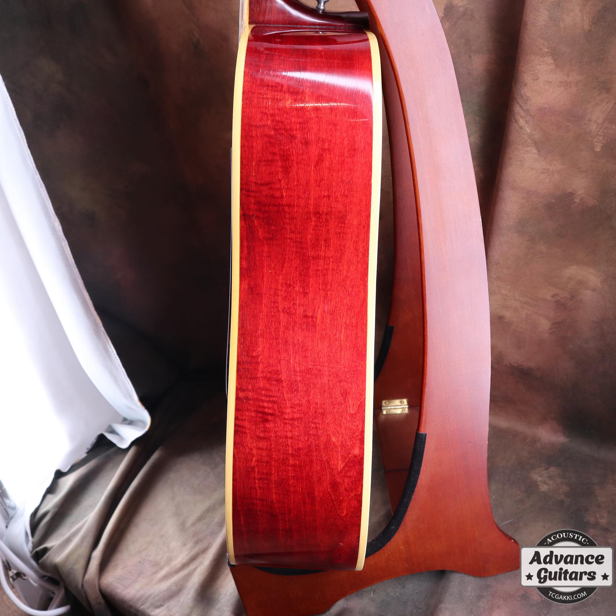 1968 Dove Double Pickguard - TC楽器 - TCGAKKI