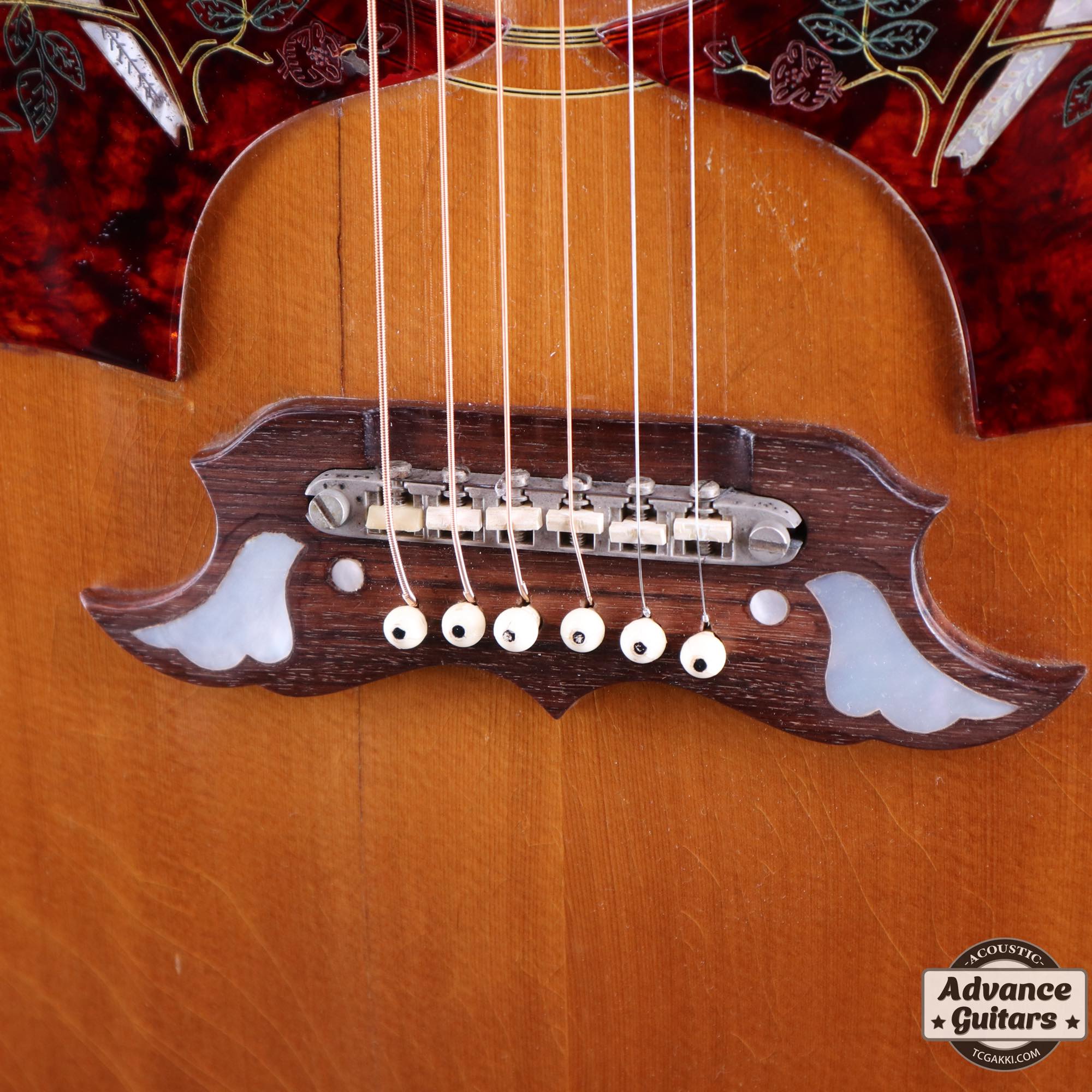 1968 Dove Double Pickguard - TC楽器 - TCGAKKI