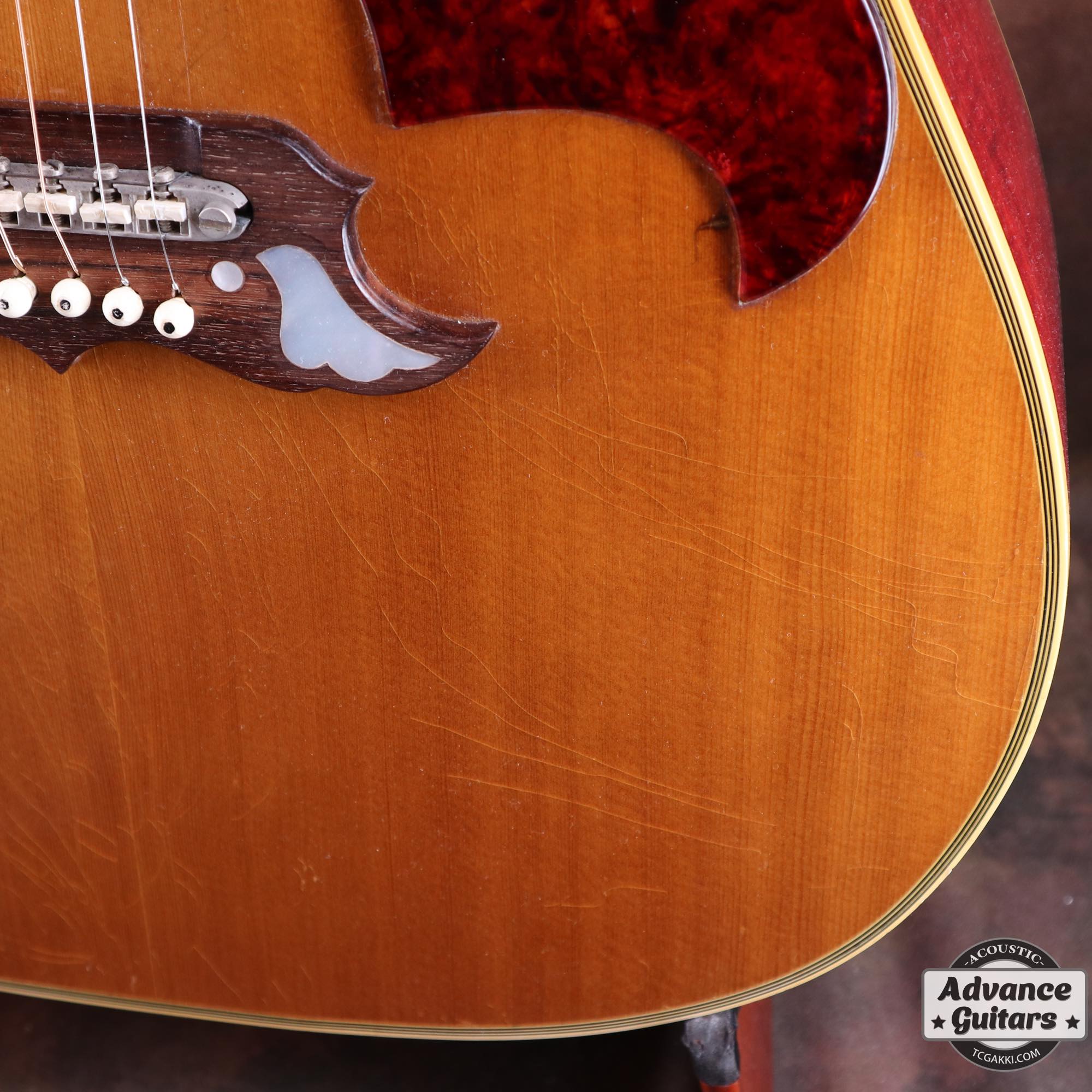 1968 Dove Double Pickguard - TC楽器 - TCGAKKI