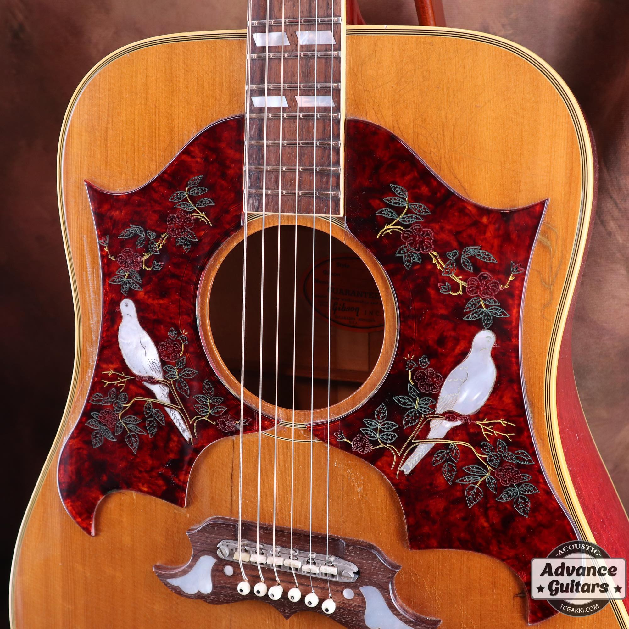 1968 Dove Double Pickguard - TC楽器 - TCGAKKI