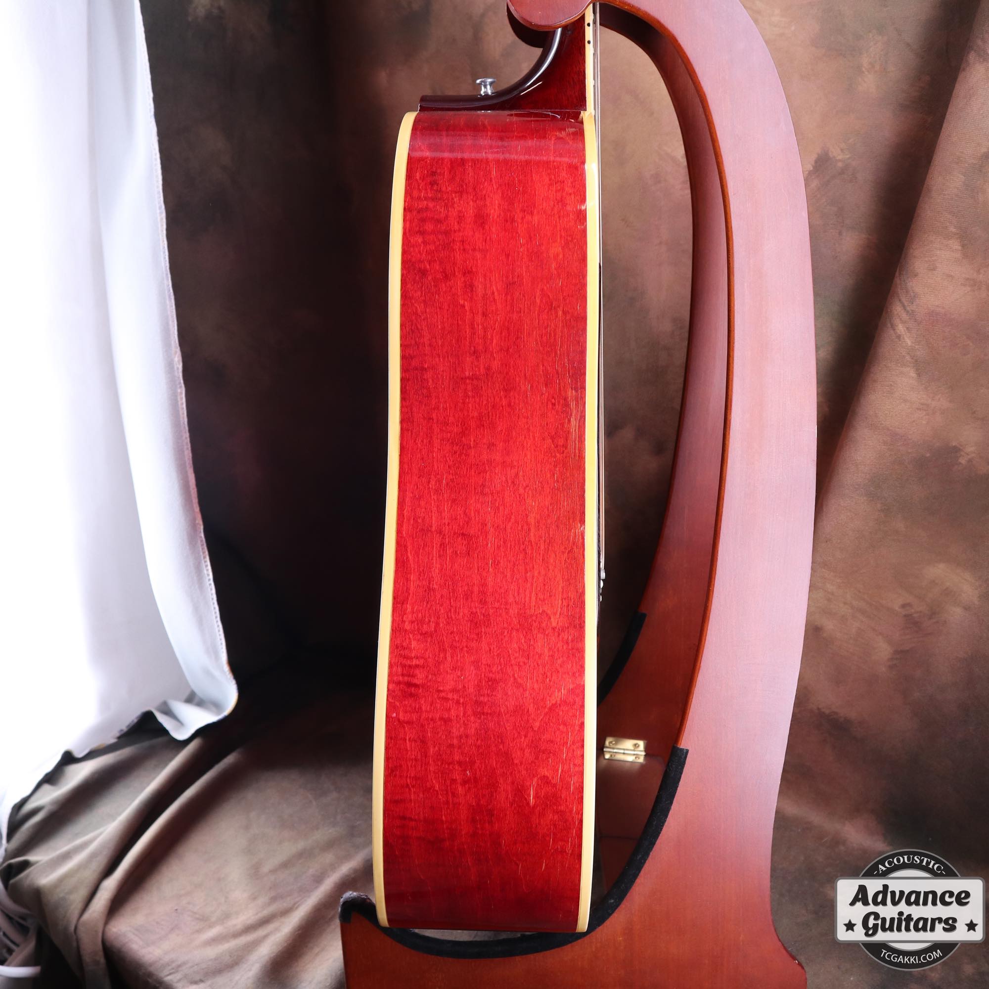1968 Dove Double Pickguard - TC楽器 - TCGAKKI