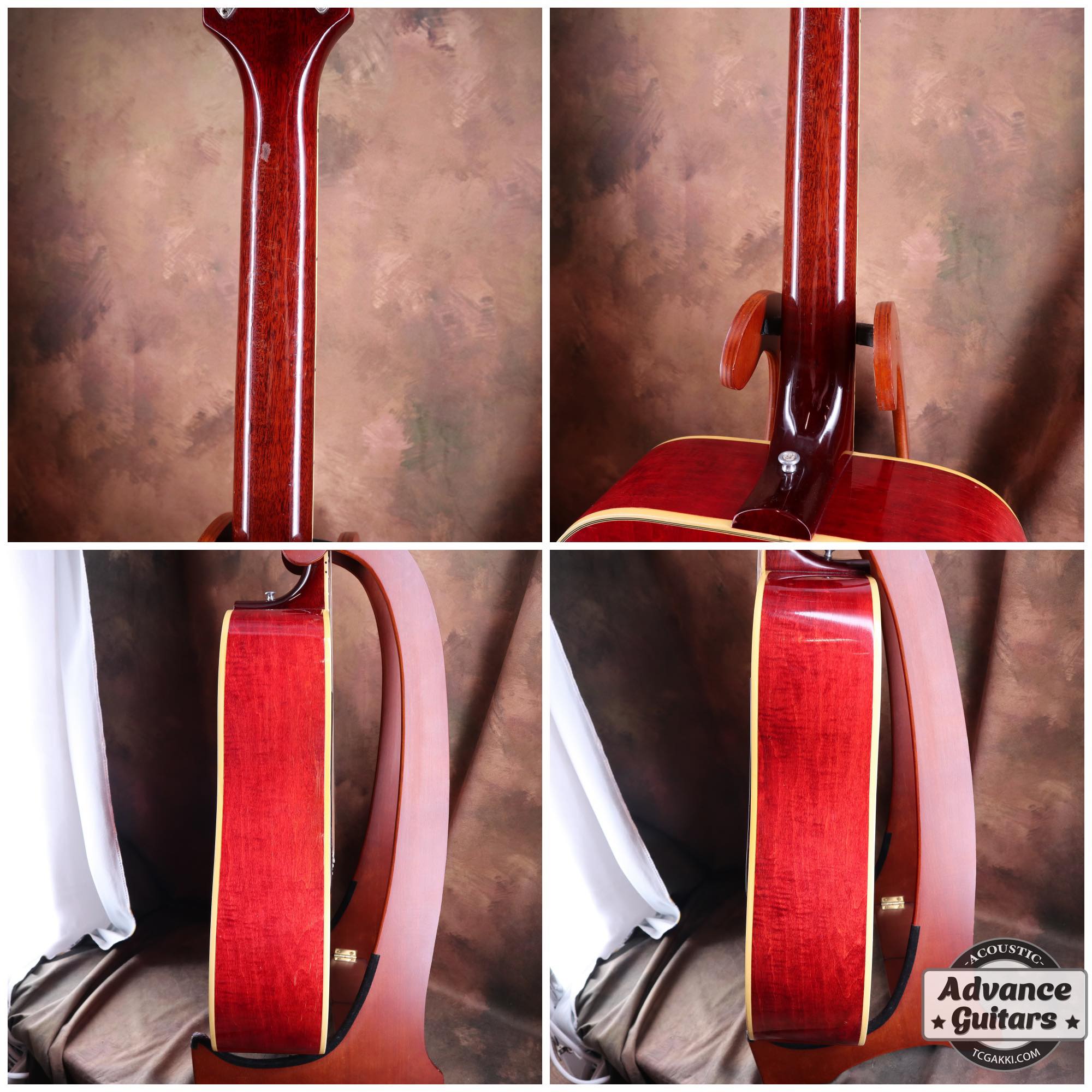 1968 Dove Double Pickguard - TC楽器 - TCGAKKI