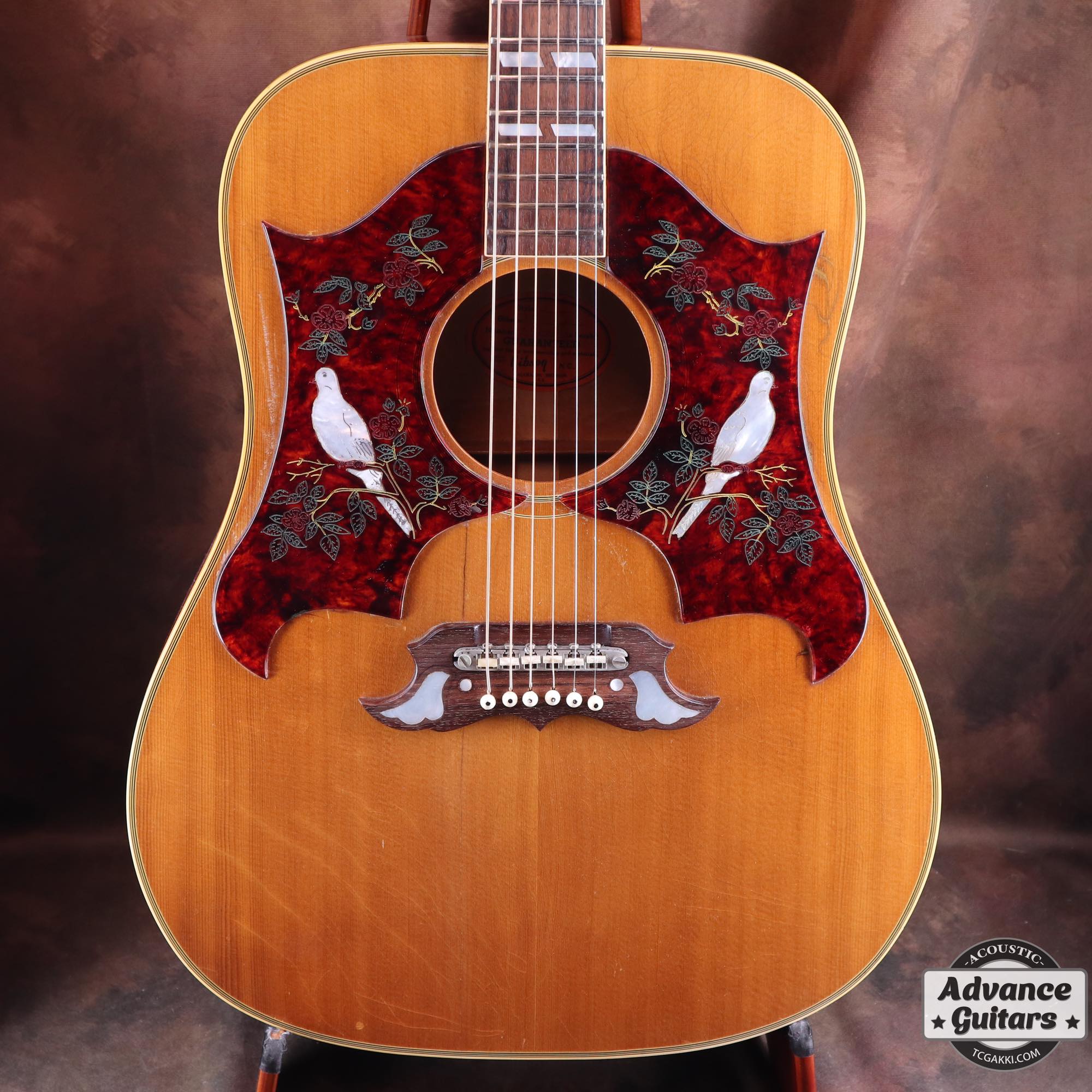 1968 Dove Double Pickguard - TC楽器 - TCGAKKI