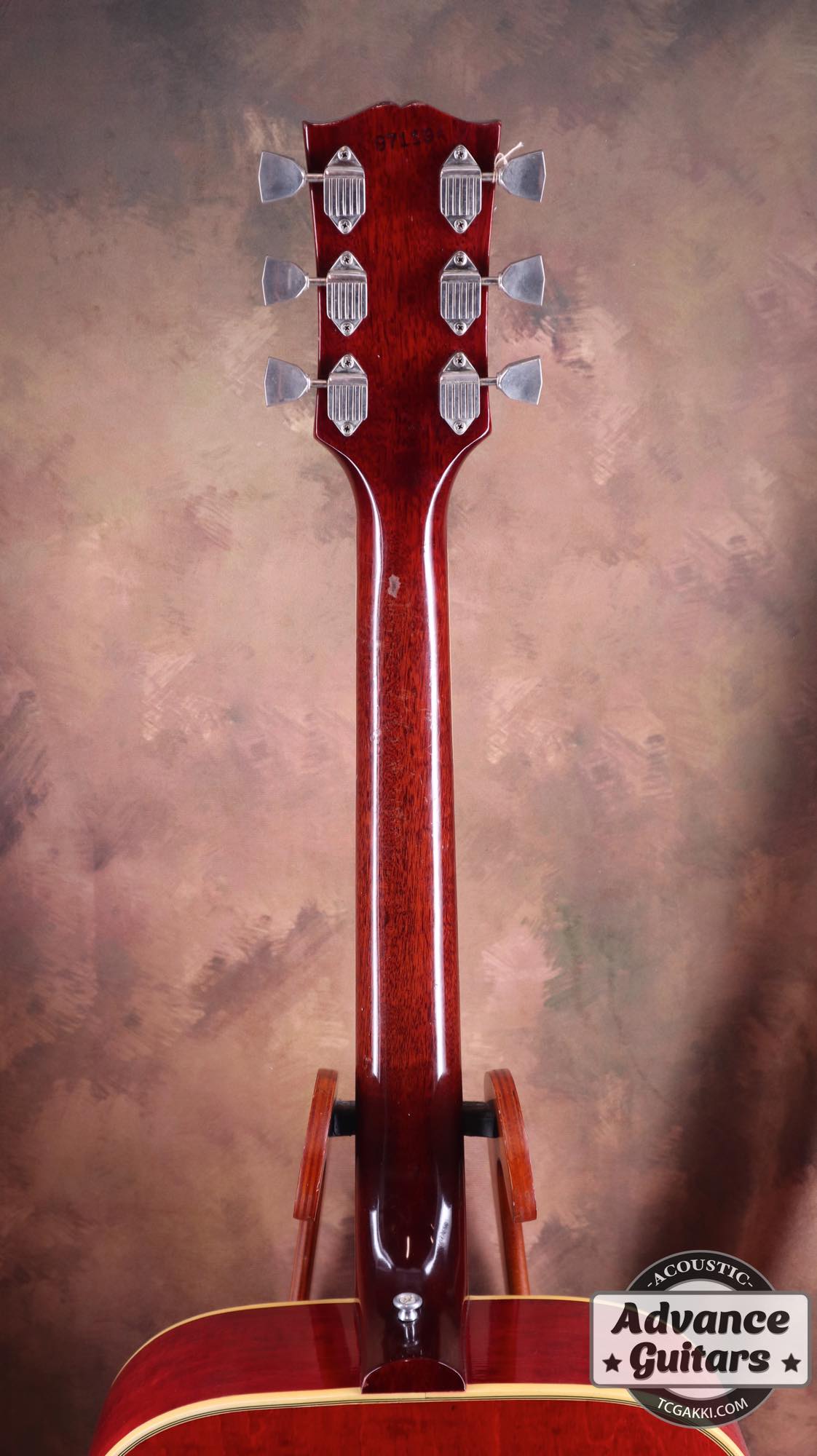 1968 Dove Double Pickguard - TC楽器 - TCGAKKI