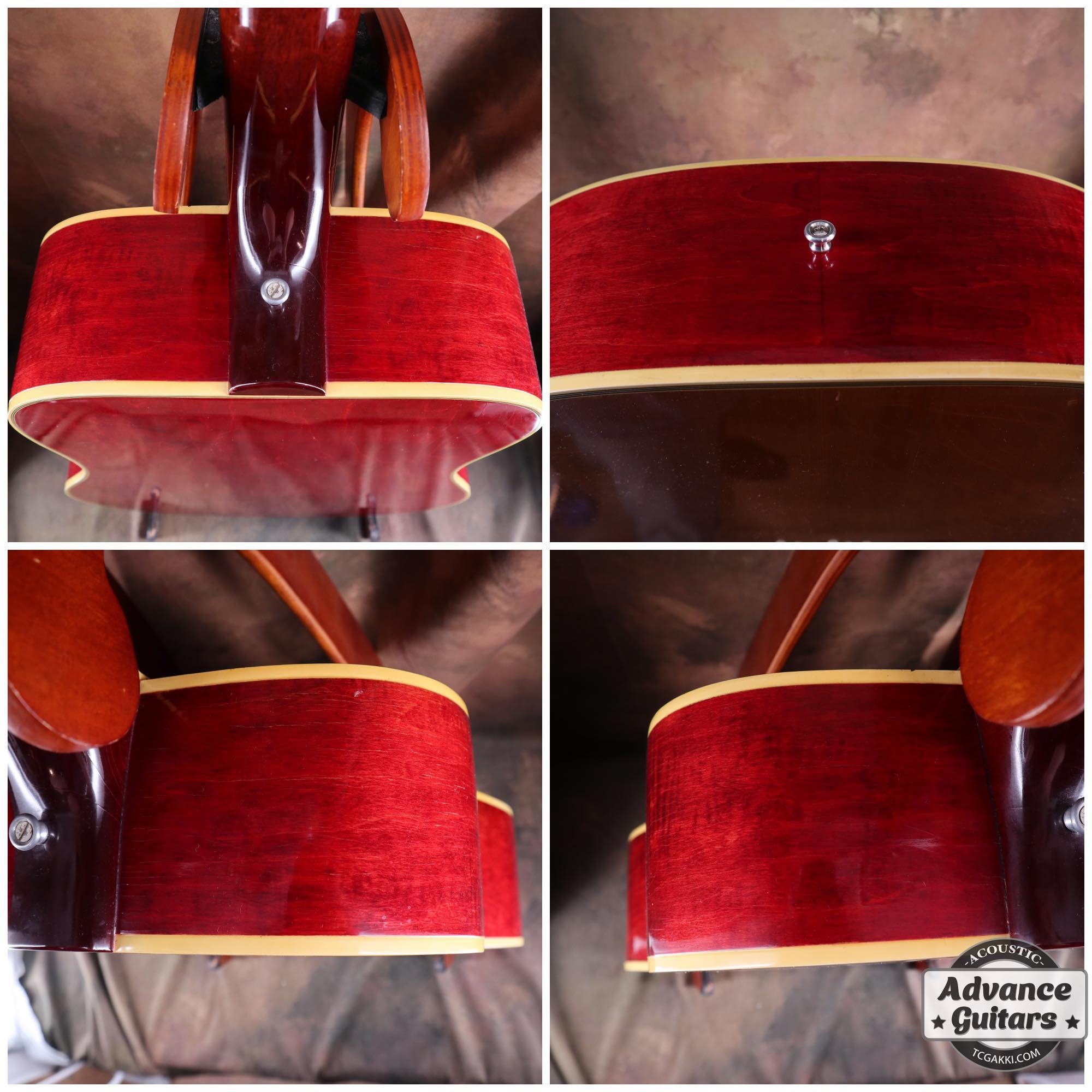 1968 Dove Double Pickguard - TC楽器 - TCGAKKI