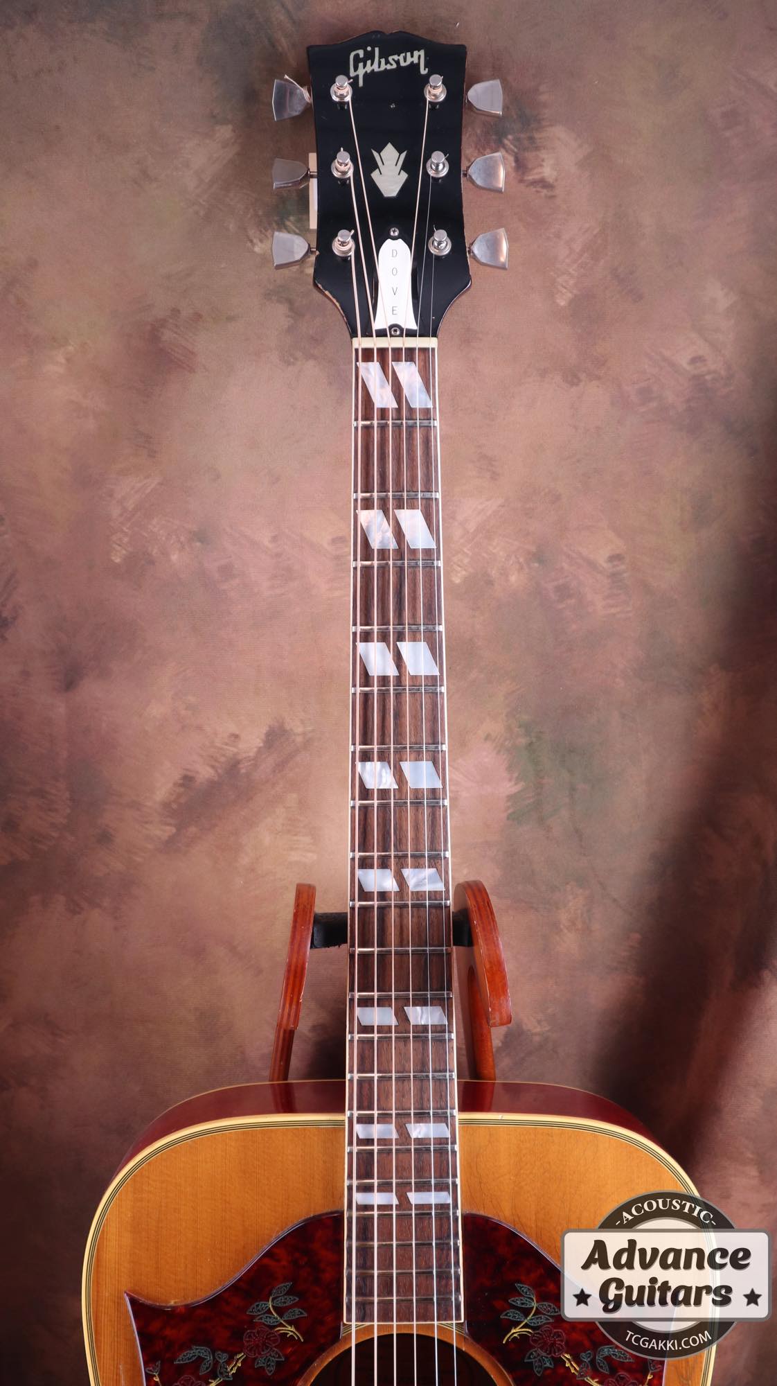 1968 Dove Double Pickguard - TC楽器 - TCGAKKI