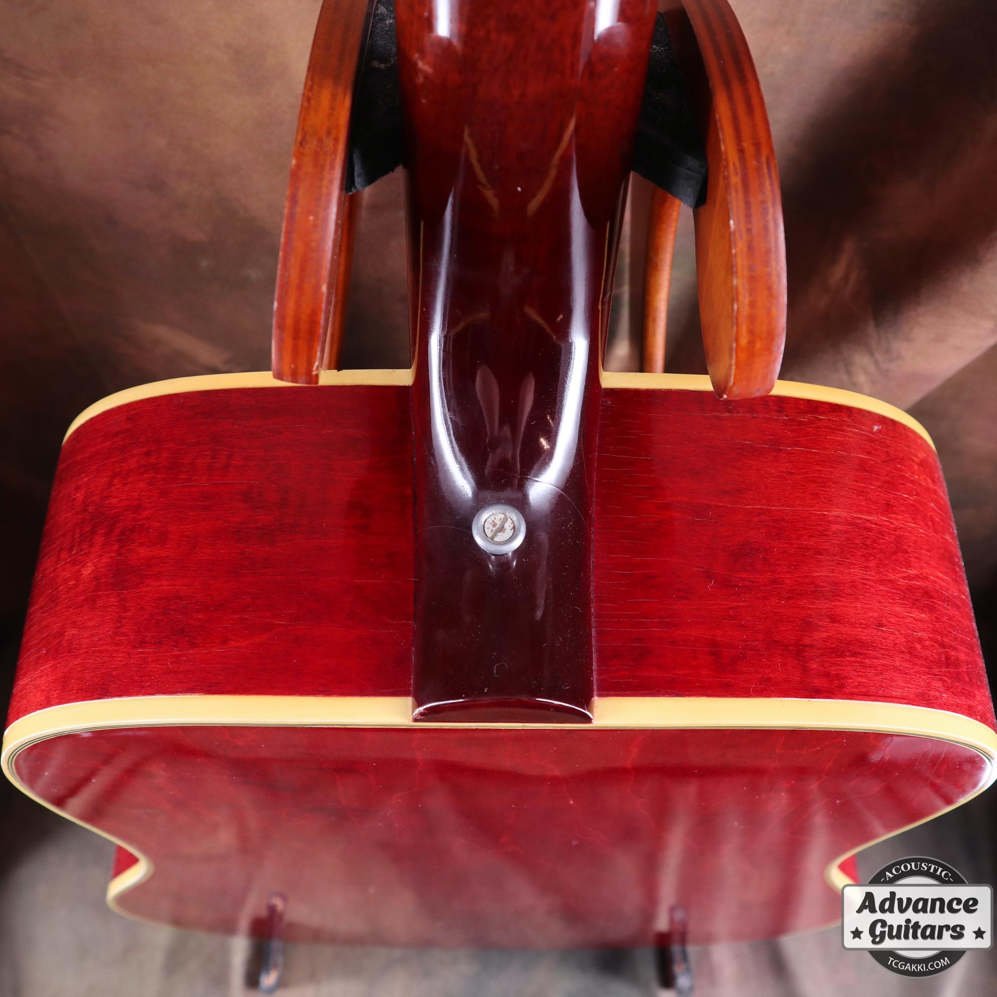 1968 Dove Double Pickguard - TC楽器 - TCGAKKI