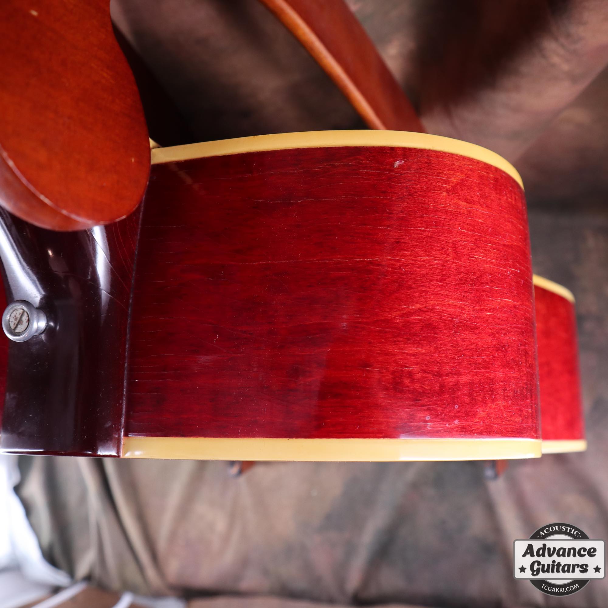 1968 Dove Double Pickguard - TC楽器 - TCGAKKI