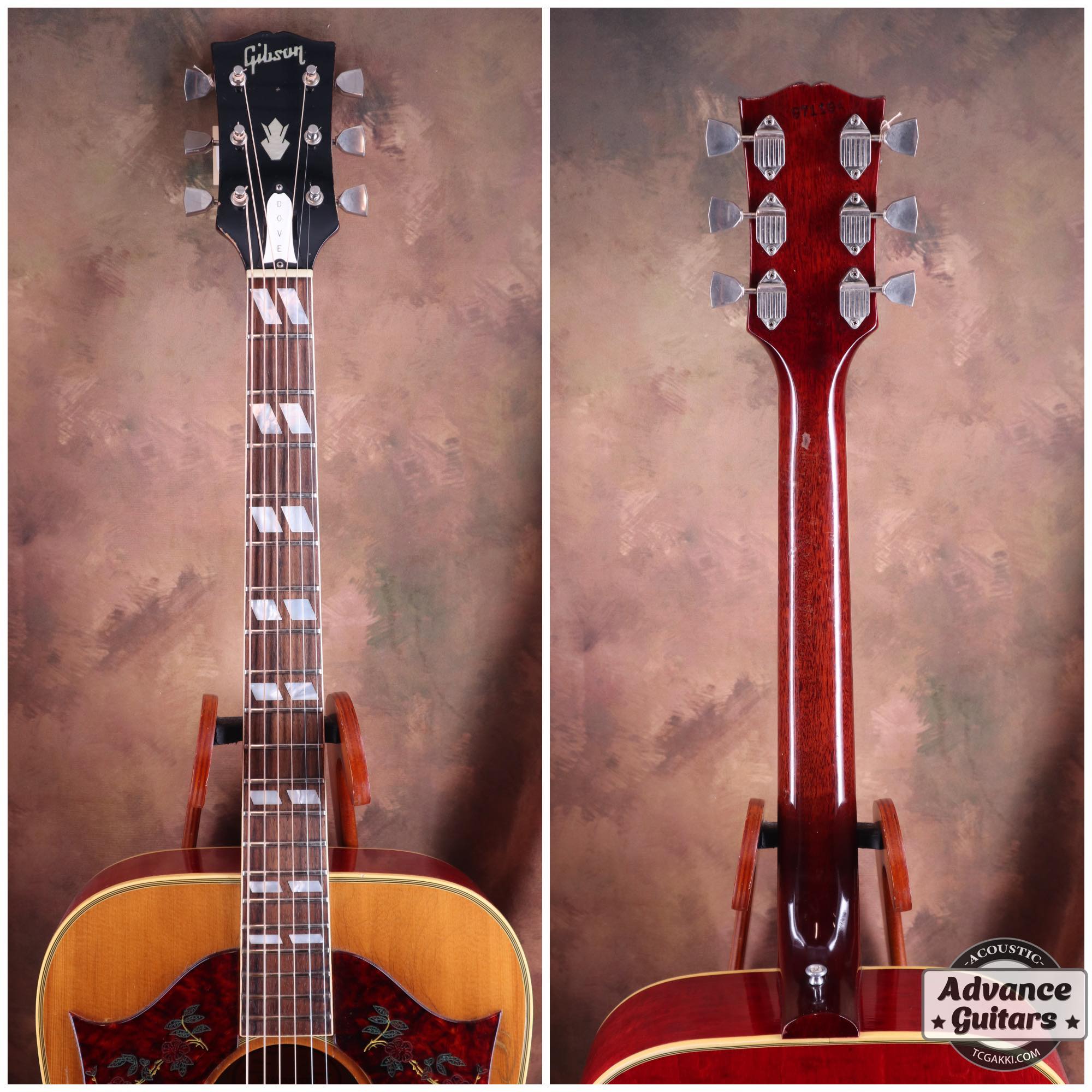 1968 Dove Double Pickguard - TC楽器 - TCGAKKI