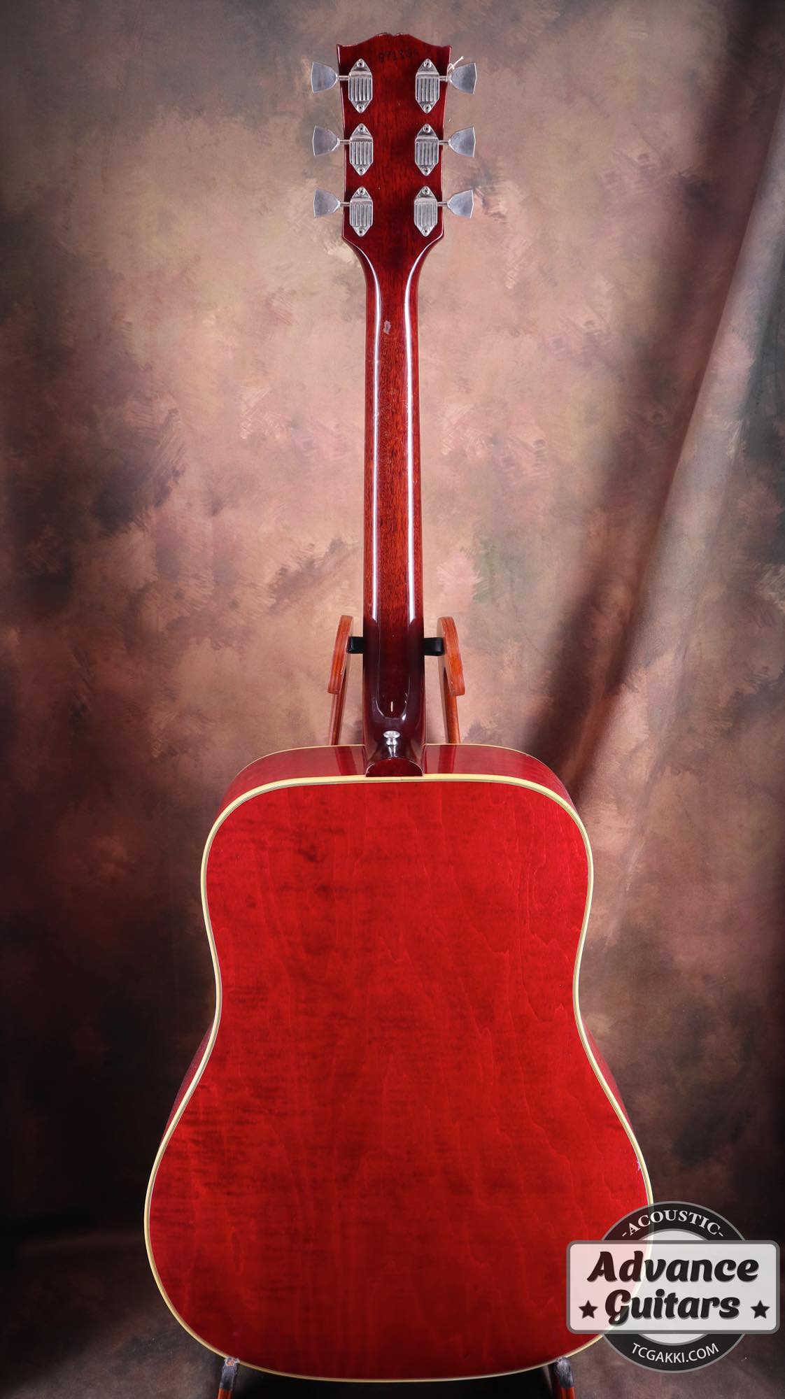 1968 Dove Double Pickguard - TC楽器 - TCGAKKI