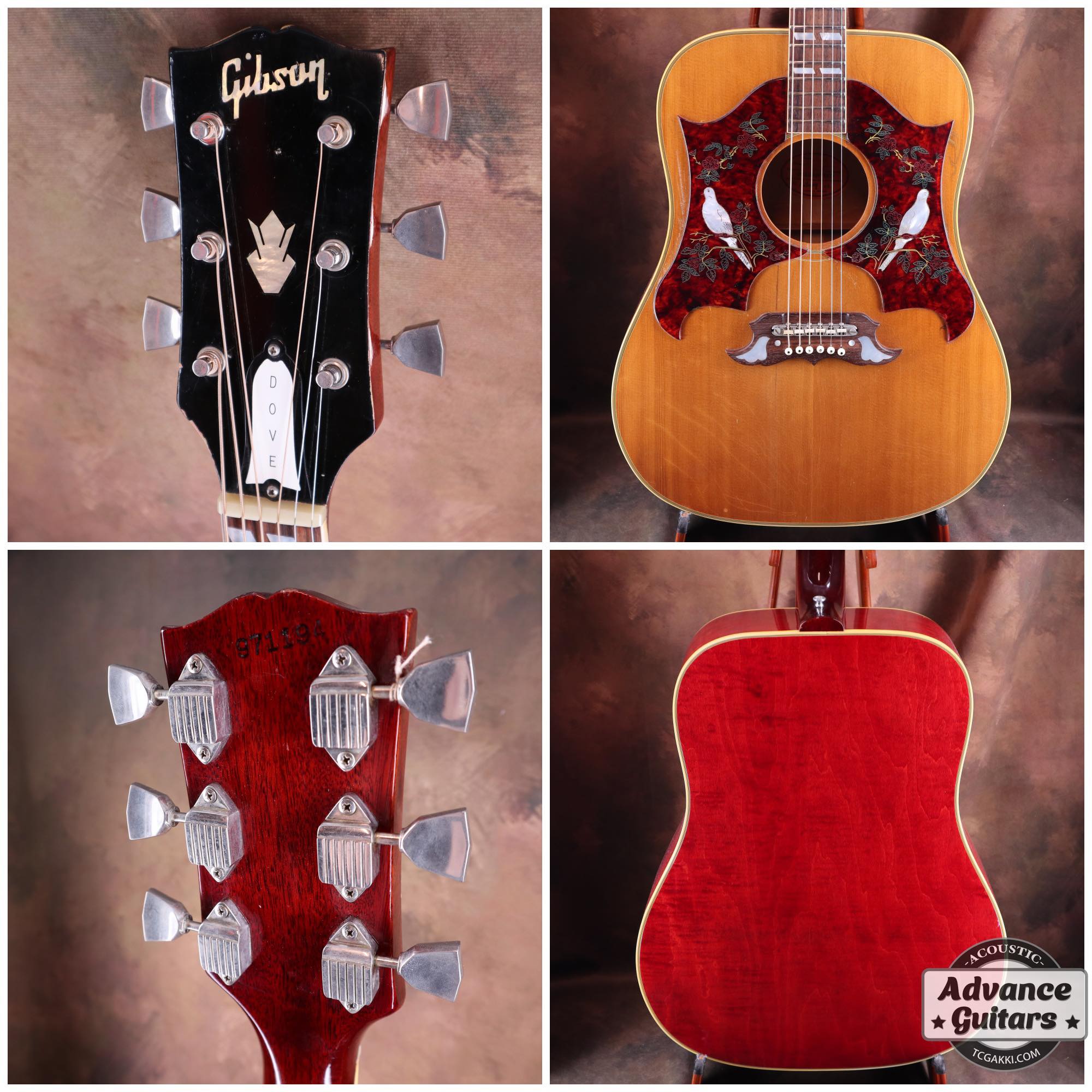 1968 Dove Double Pickguard - TC楽器 - TCGAKKI