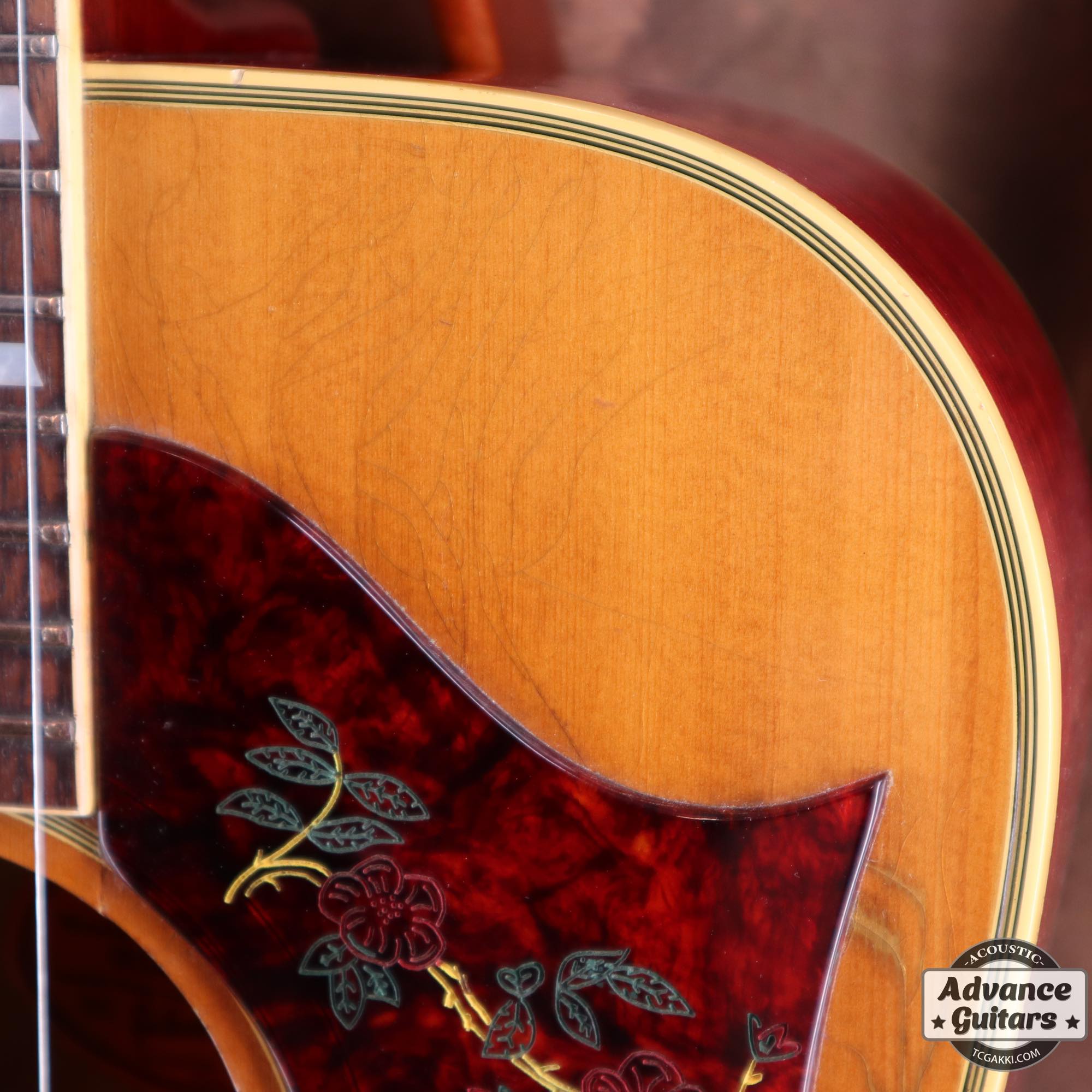 1968 Dove Double Pickguard - TC楽器 - TCGAKKI