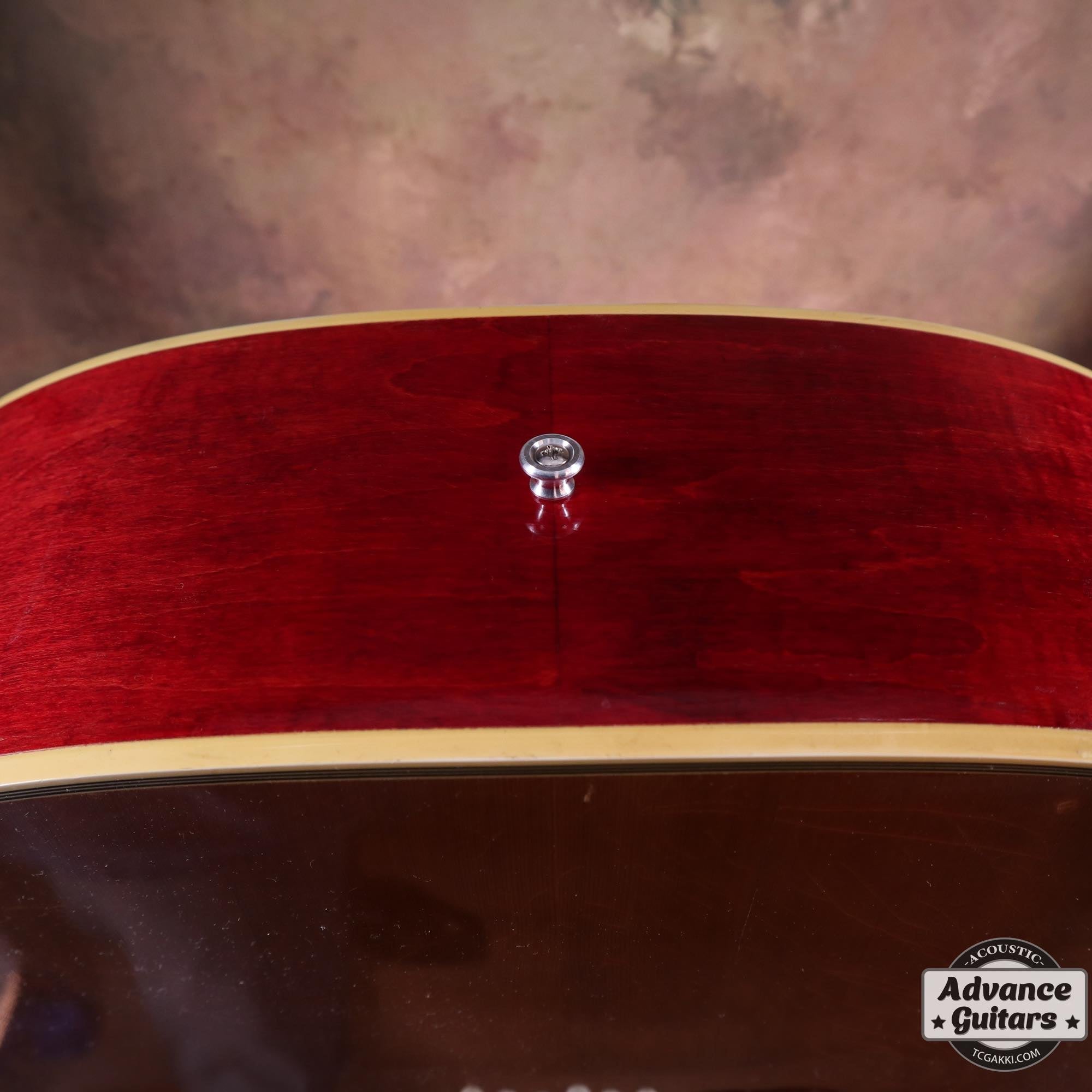 1968 Dove Double Pickguard - TC楽器 - TCGAKKI