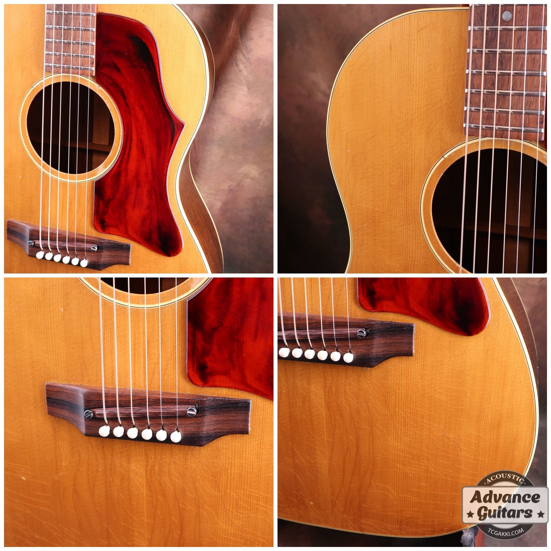 1969 B-25N - TC楽器 - TCGAKKI