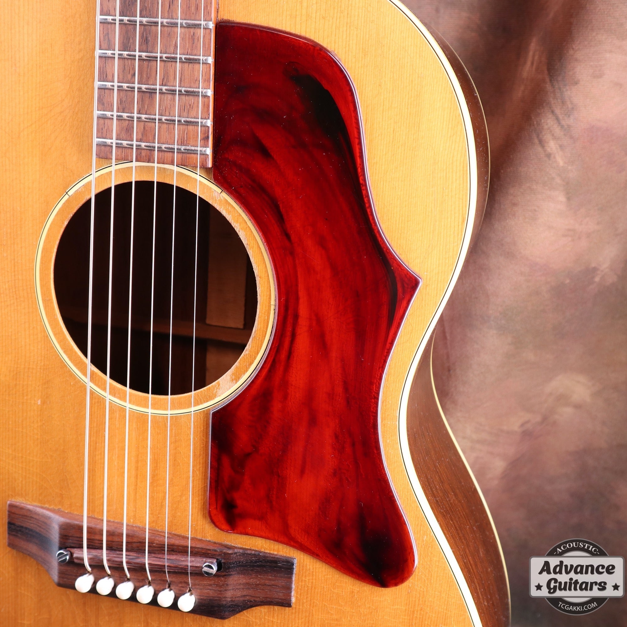 1969 B-25N - TC楽器 - TCGAKKI