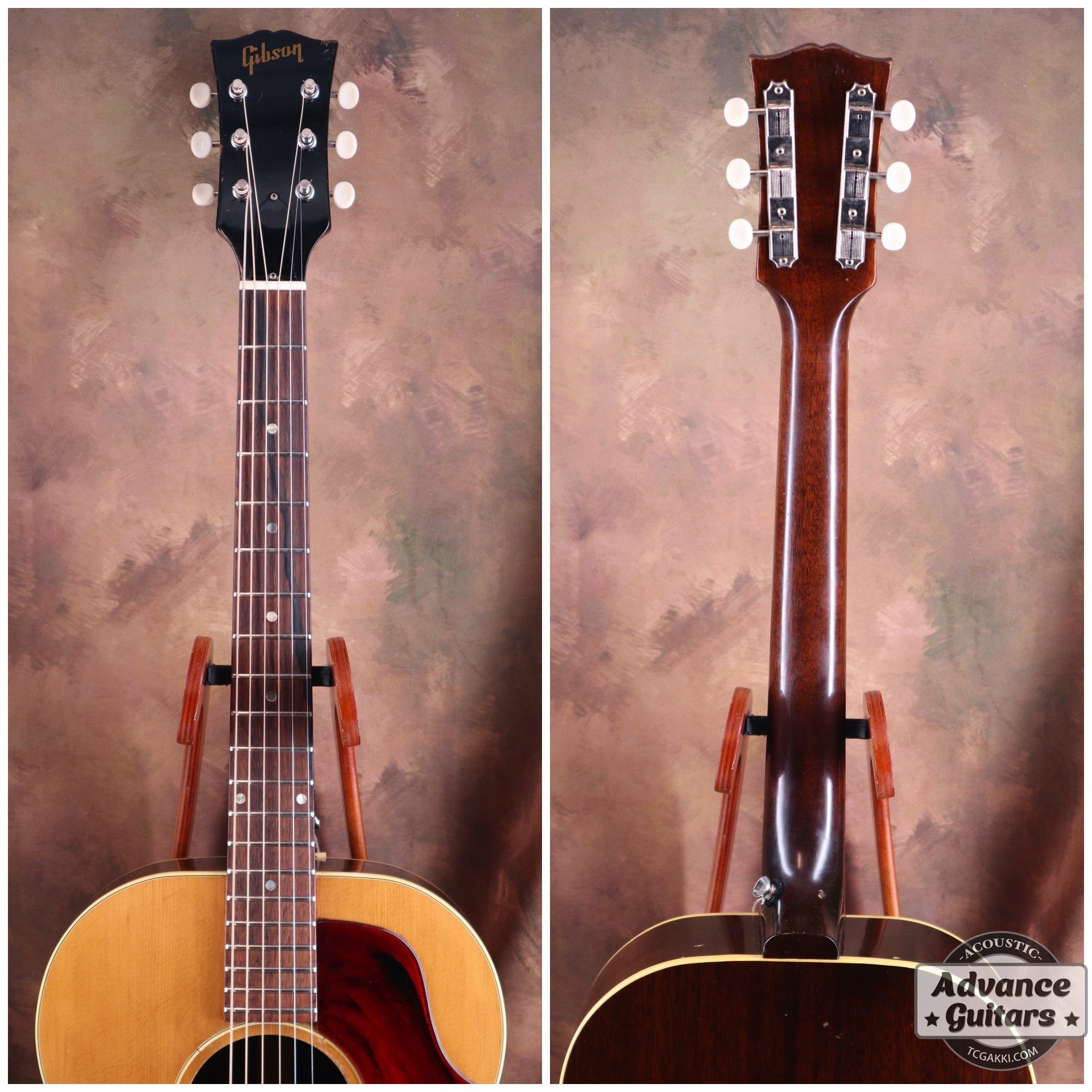 1969 B-25N - TC楽器 - TCGAKKI