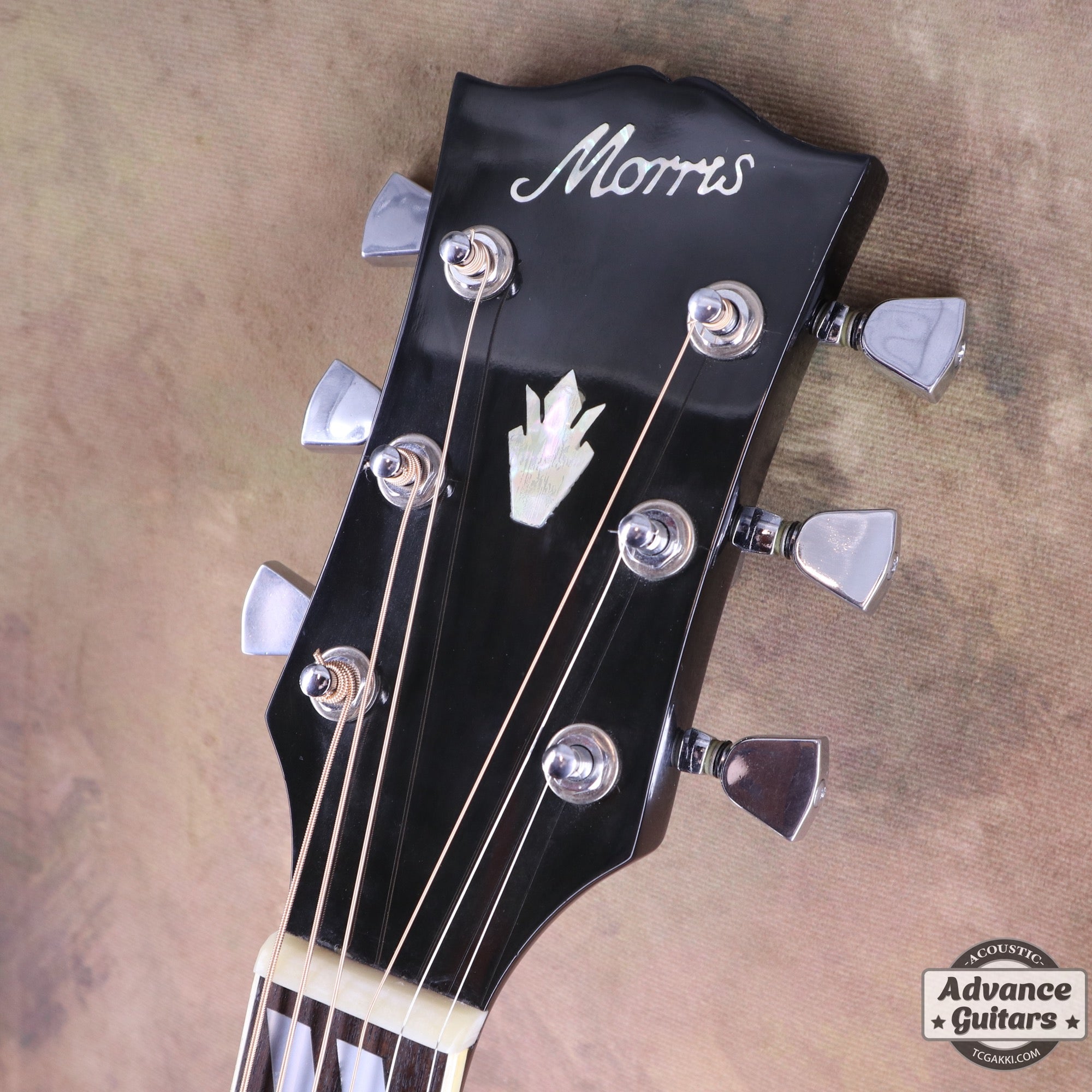 1970~1980s WD - 35 - TC楽器 - TCGAKKI