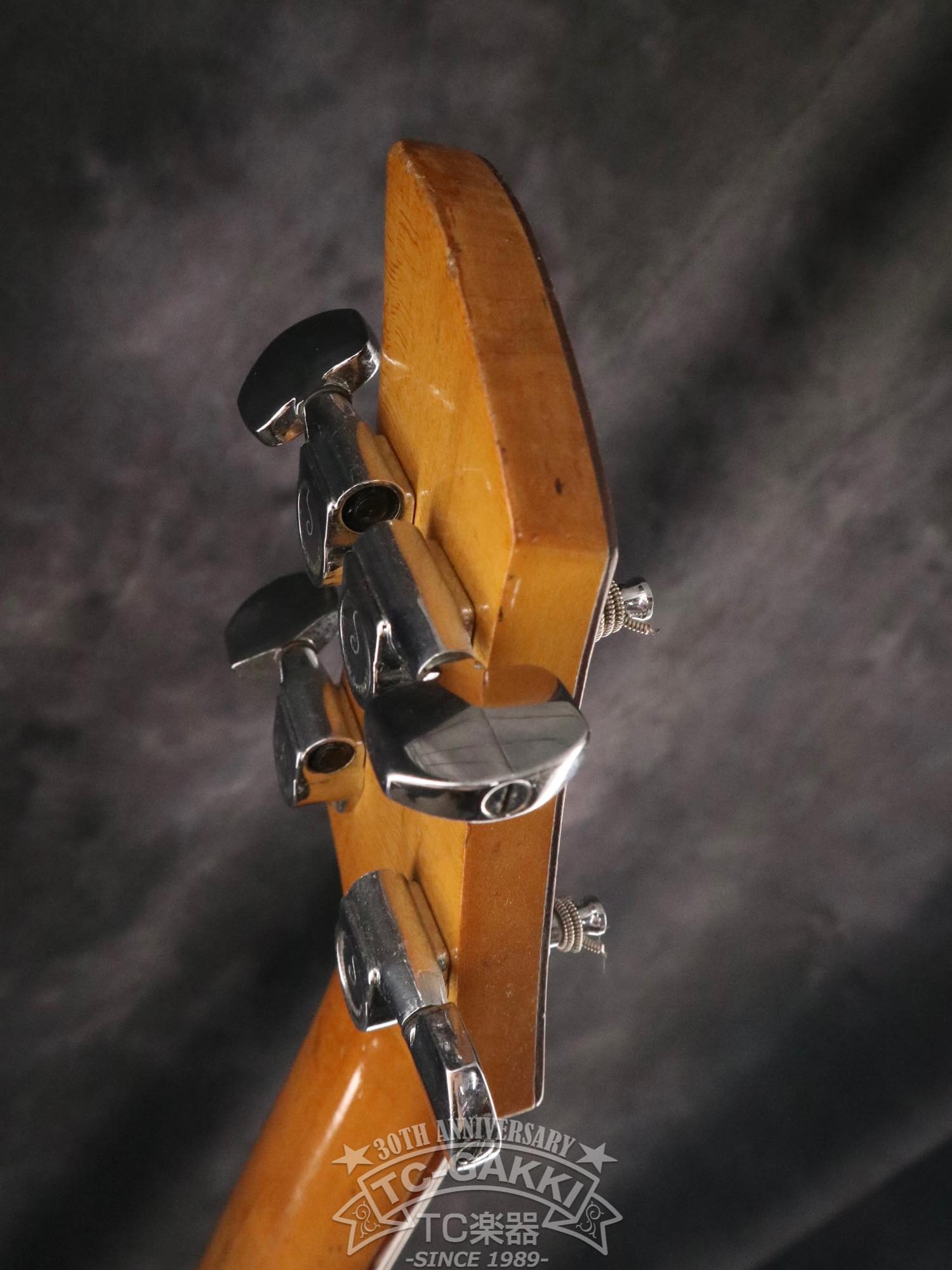 1970s Dan Armstrong Lucite Bass - TC楽器 - TCGAKKI