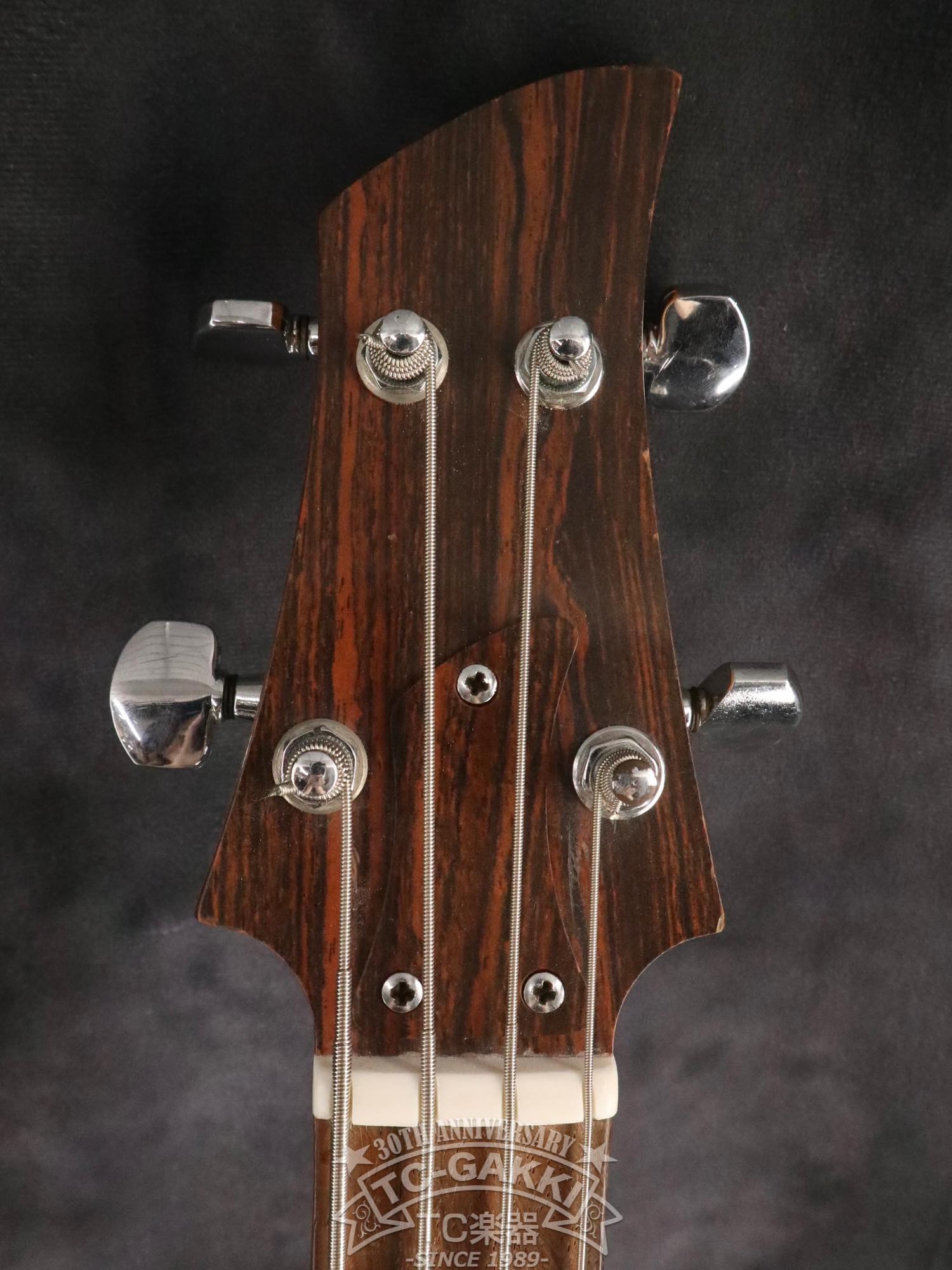 1970s Dan Armstrong Lucite Bass - TC楽器 - TCGAKKI