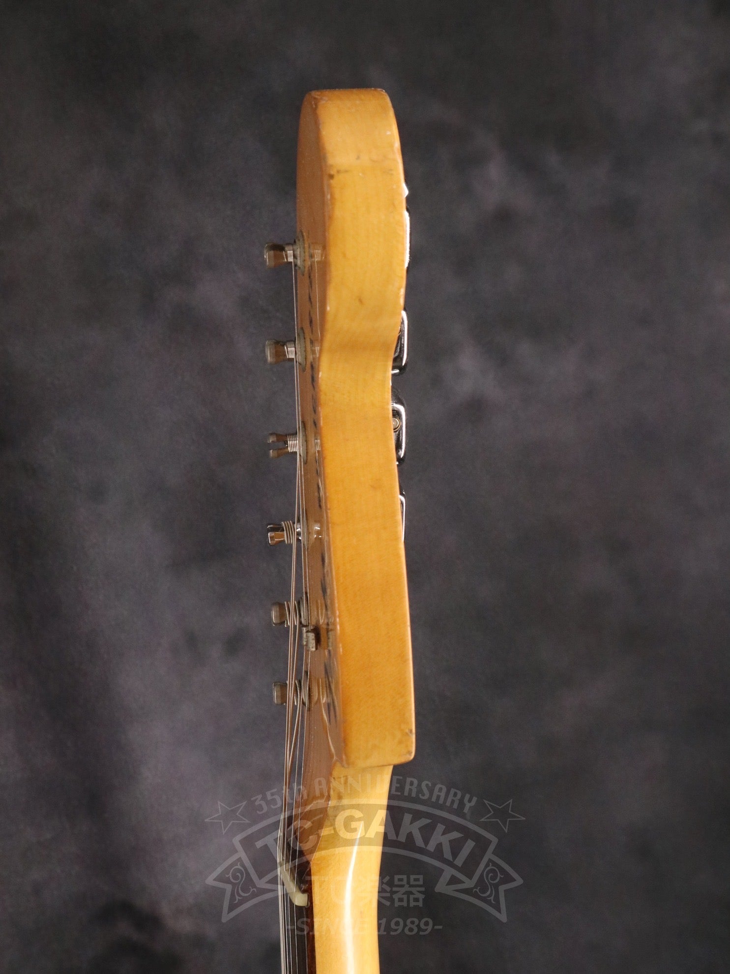 1970s Musicmaster Mod - TC楽器 - TCGAKKI