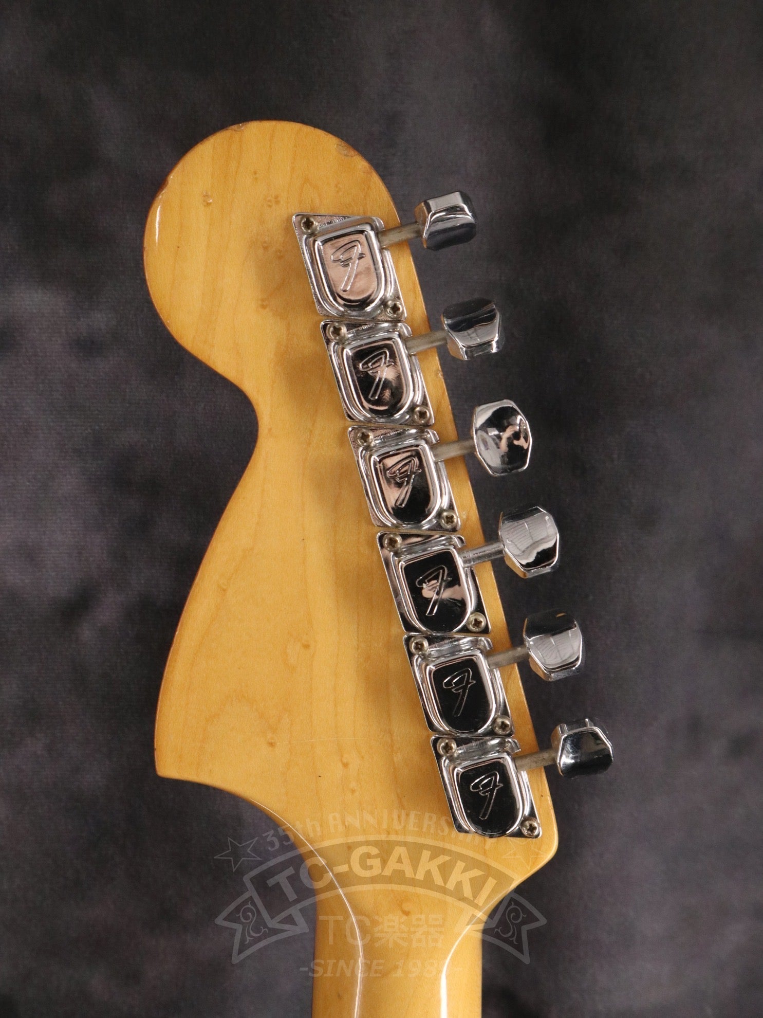 1970s Musicmaster Mod - TC楽器 - TCGAKKI