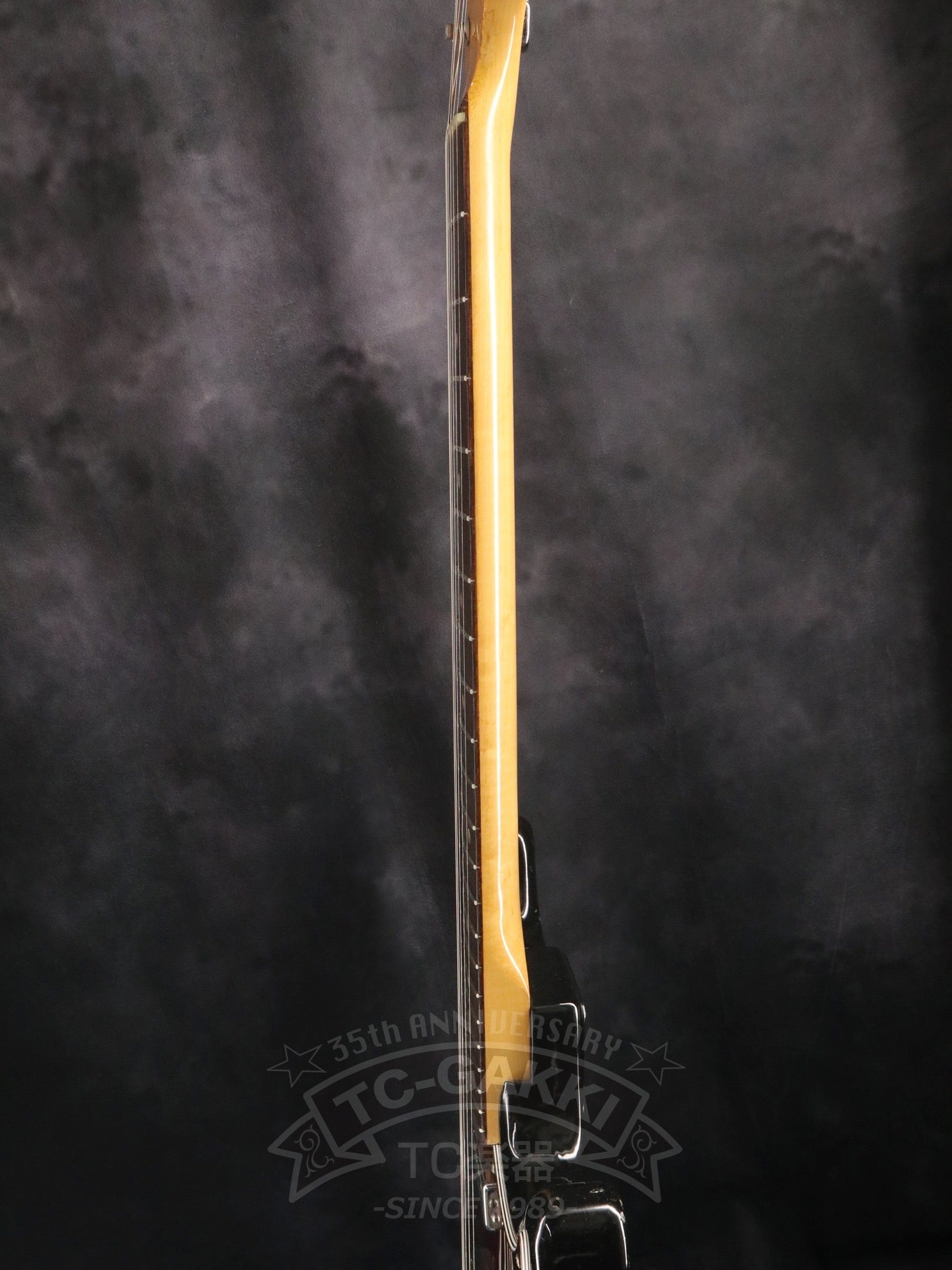 1970s Musicmaster Mod - TC楽器 - TCGAKKI