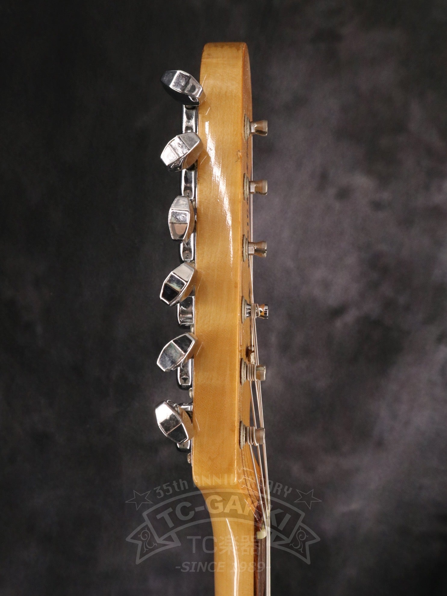 1970s Musicmaster Mod - TC楽器 - TCGAKKI