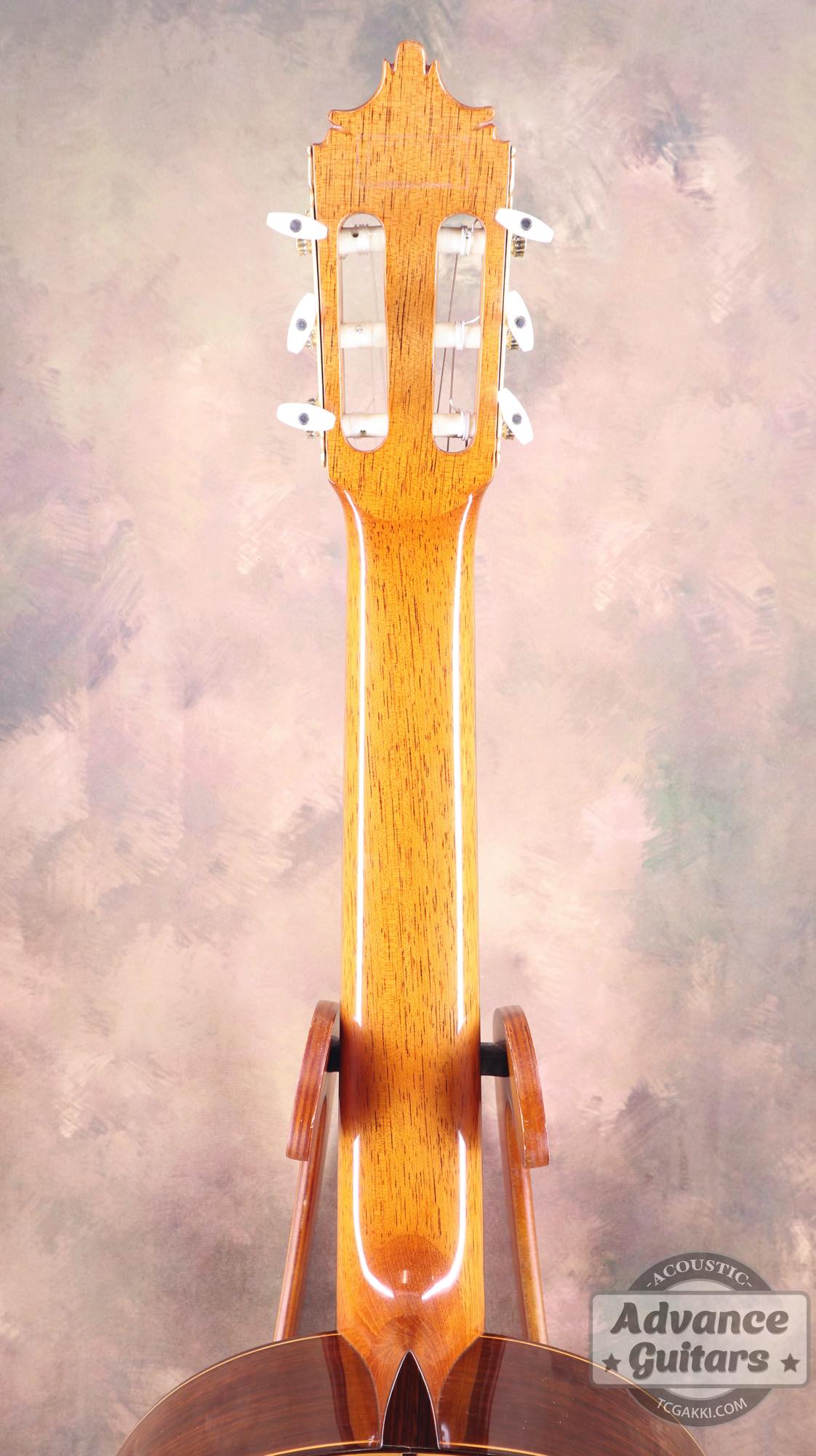 1974年製 杉/紫檀 - TC楽器 - TCGAKKI