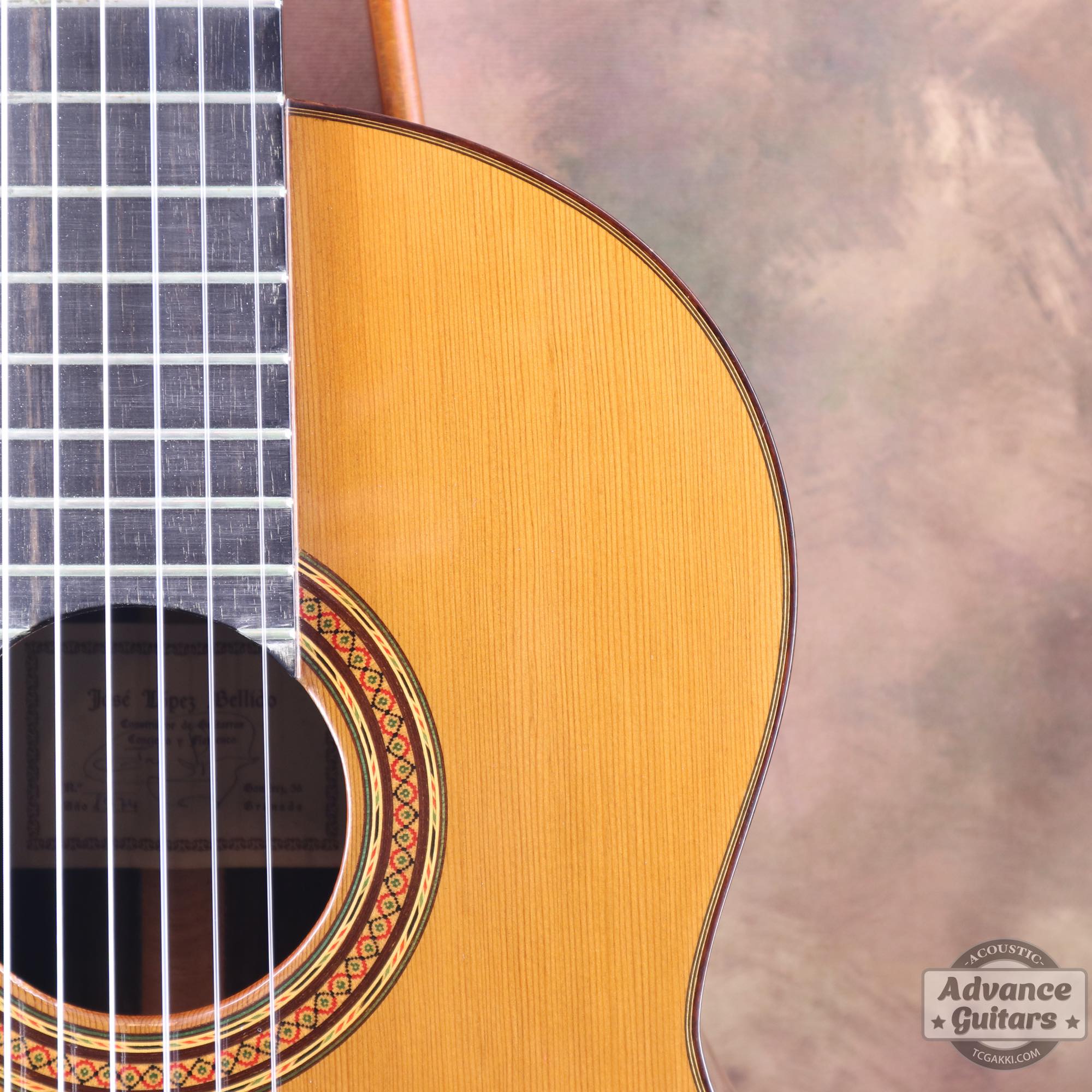 1974年製 杉/紫檀 - TC楽器 - TCGAKKI