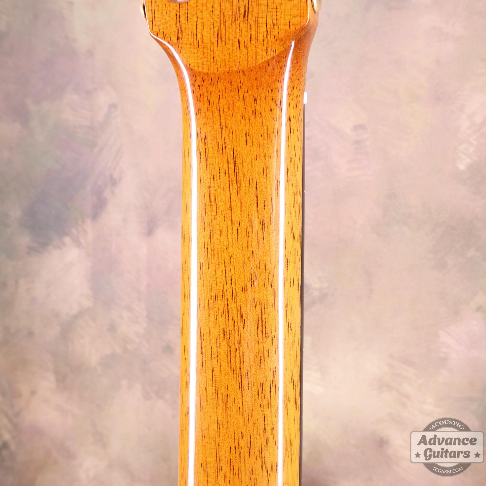 1974年製 杉/紫檀 - TC楽器 - TCGAKKI