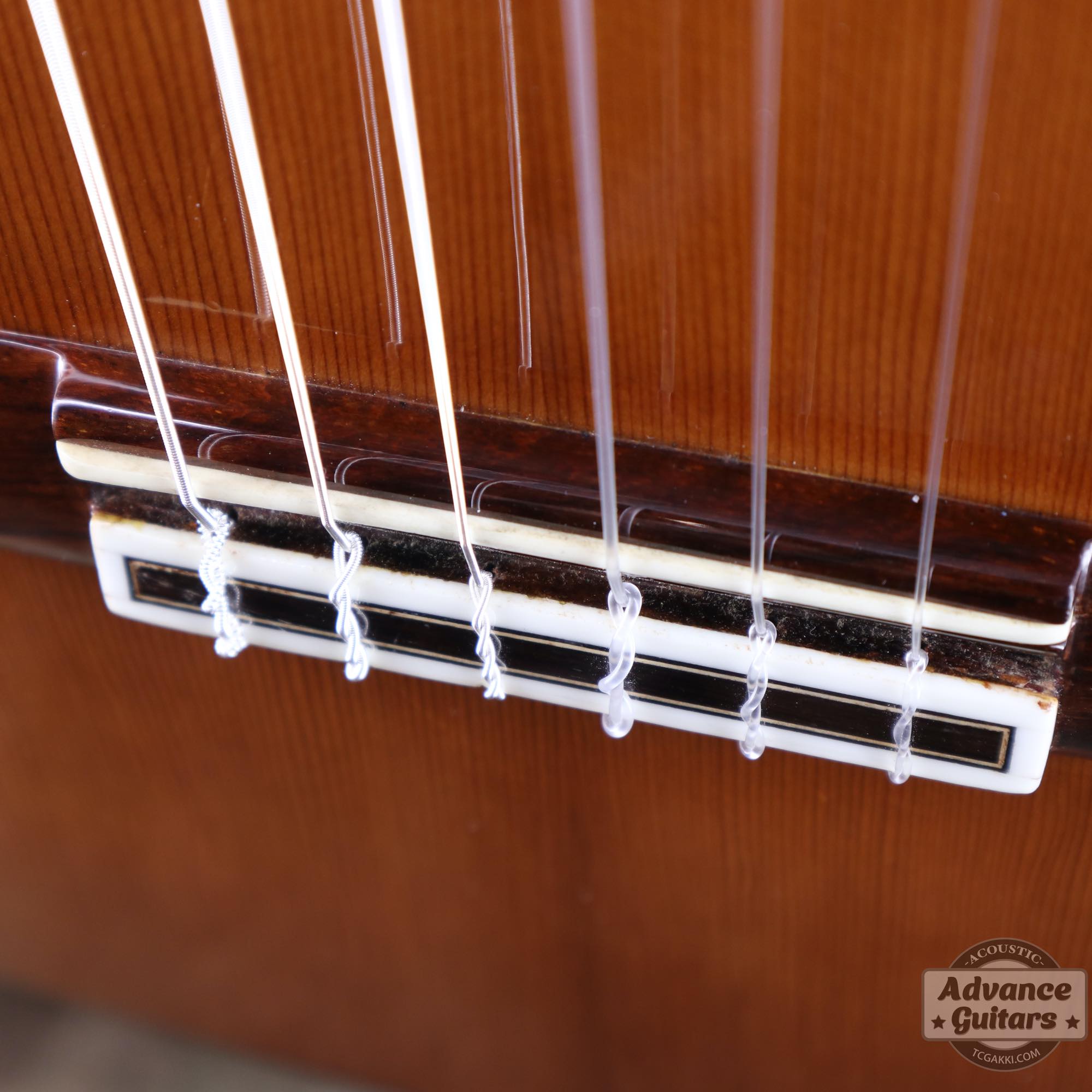 1974年製 杉/紫檀 - TC楽器 - TCGAKKI