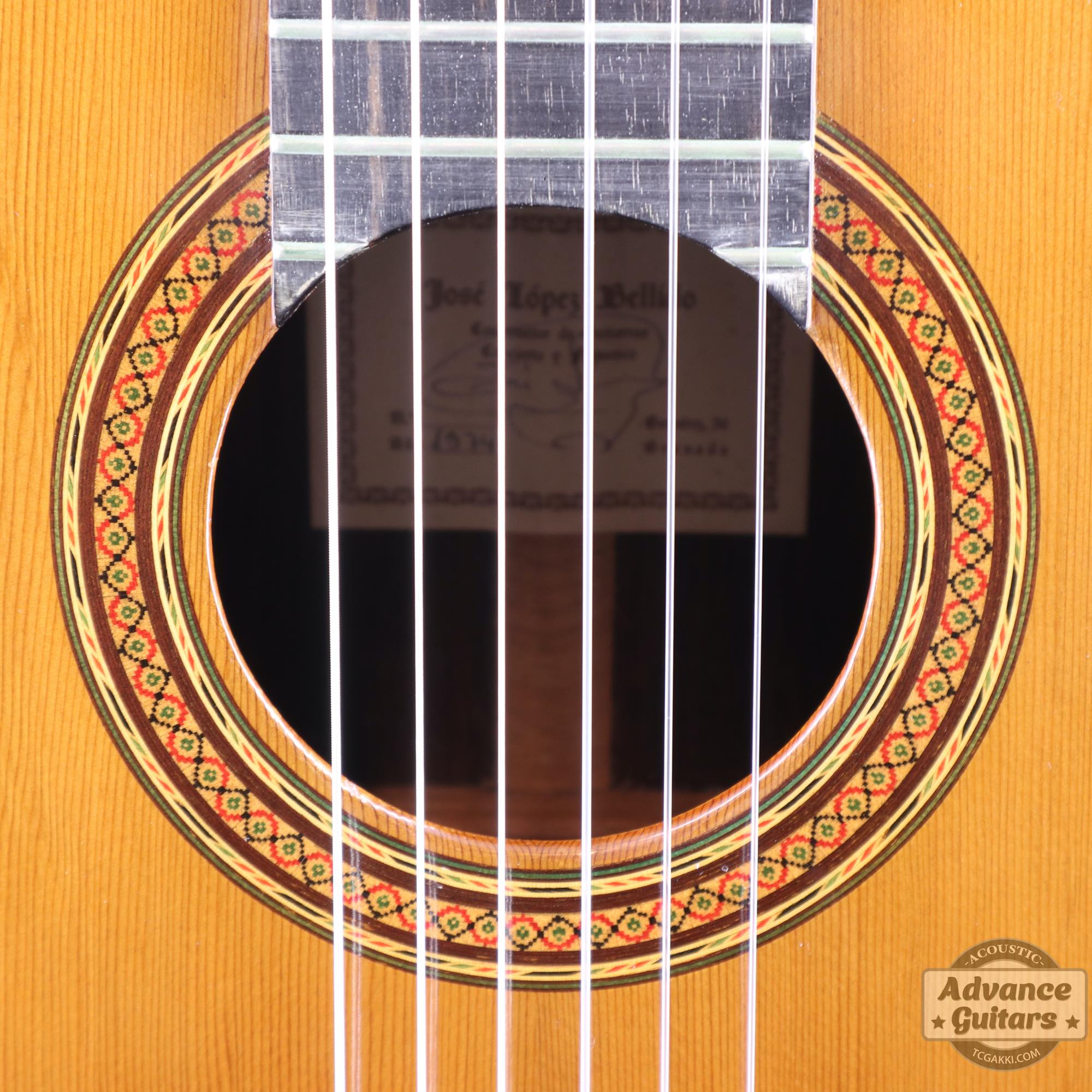 1974年製 杉/紫檀 - TC楽器 - TCGAKKI