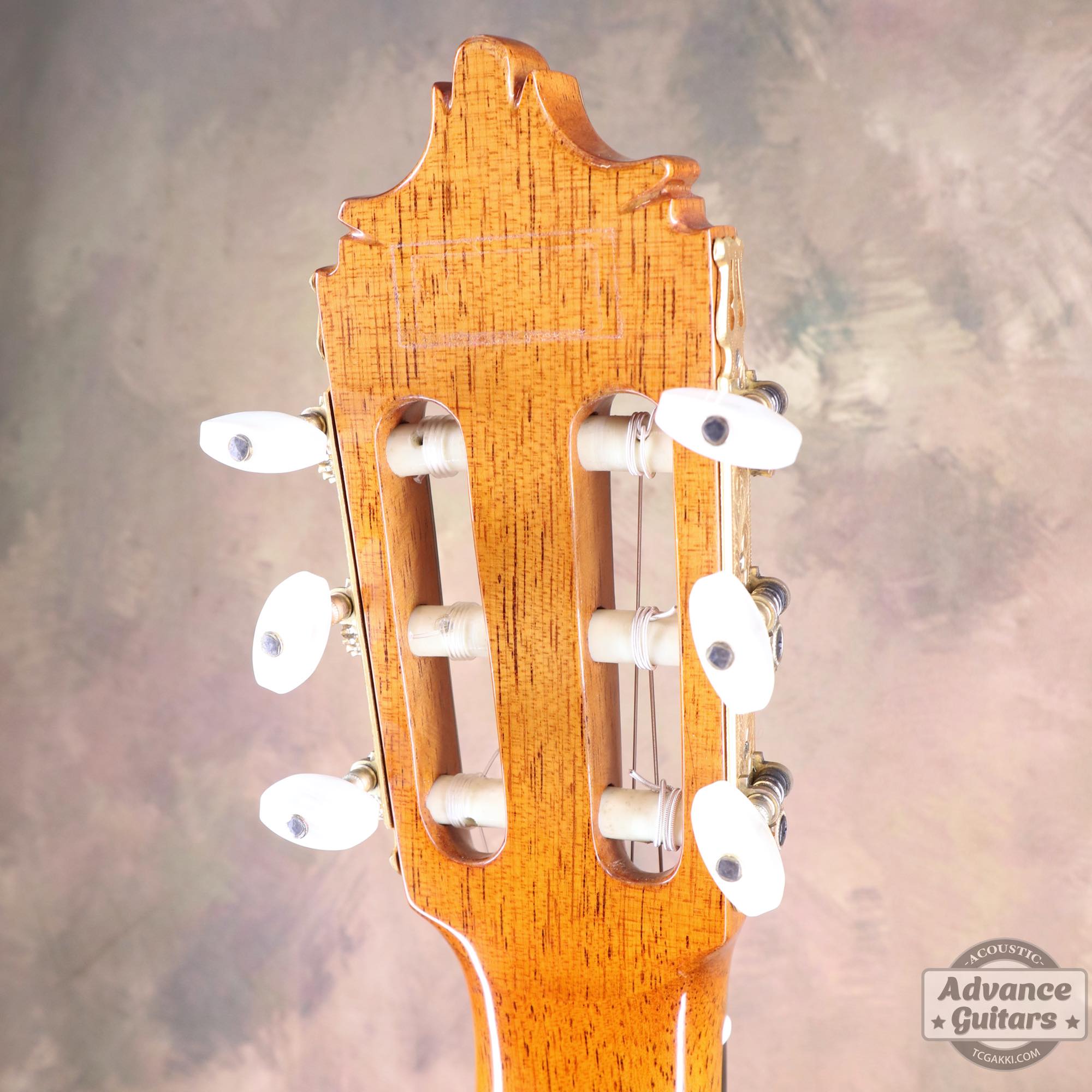 1974年製 杉/紫檀 - TC楽器 - TCGAKKI