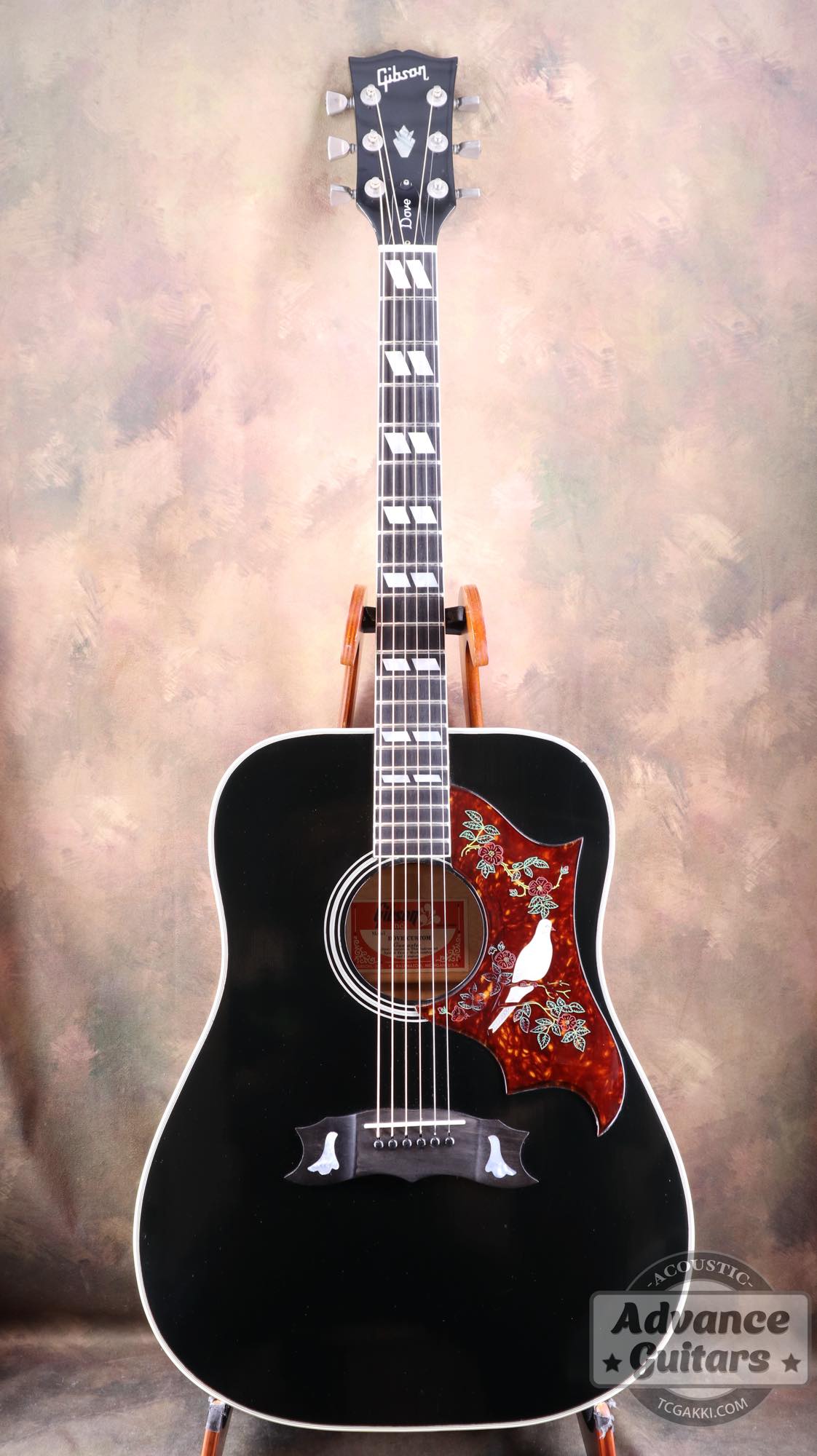 1974~1975年製 Dove Black - TC楽器 - TCGAKKI