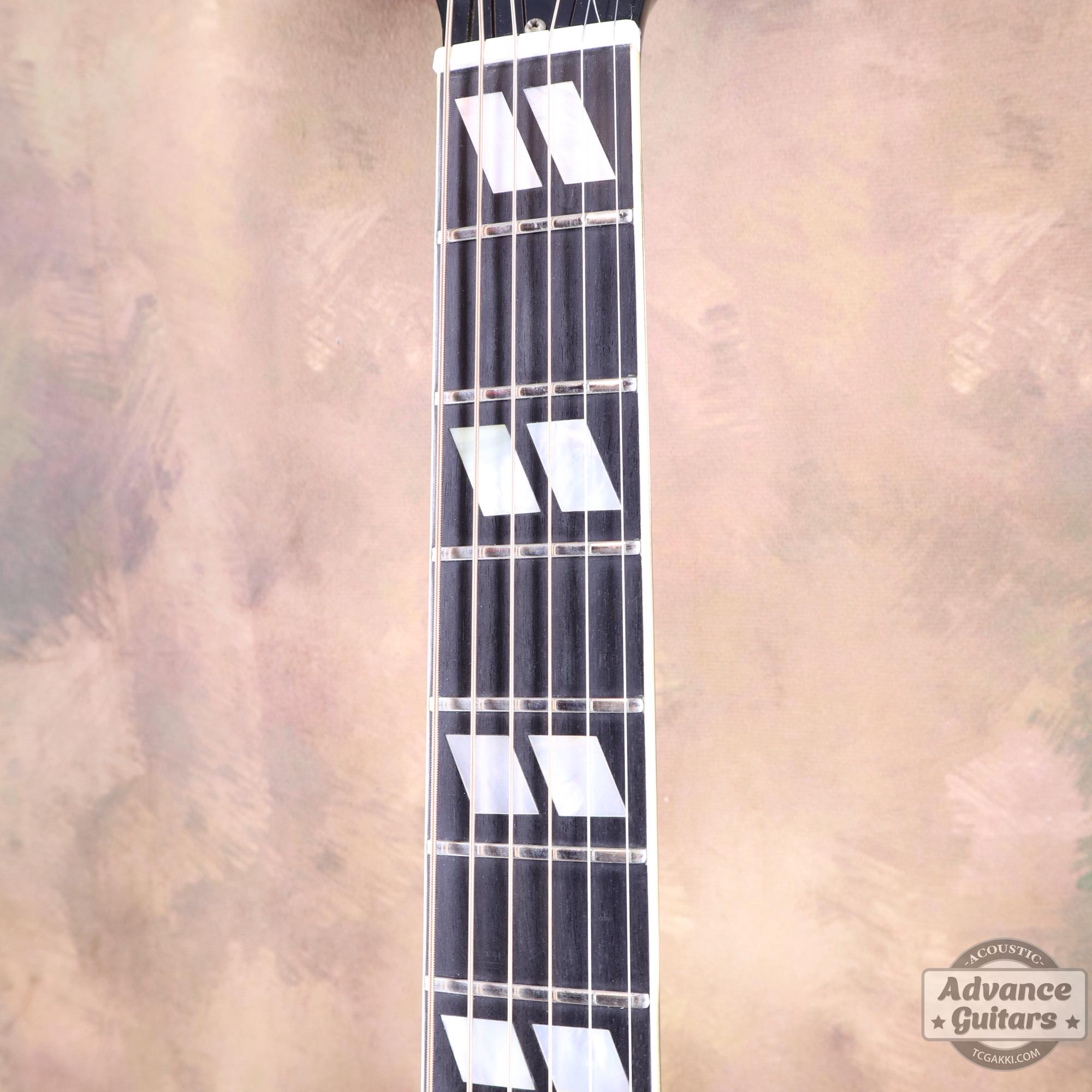 1974~1975年製 Dove Black - TC楽器 - TCGAKKI