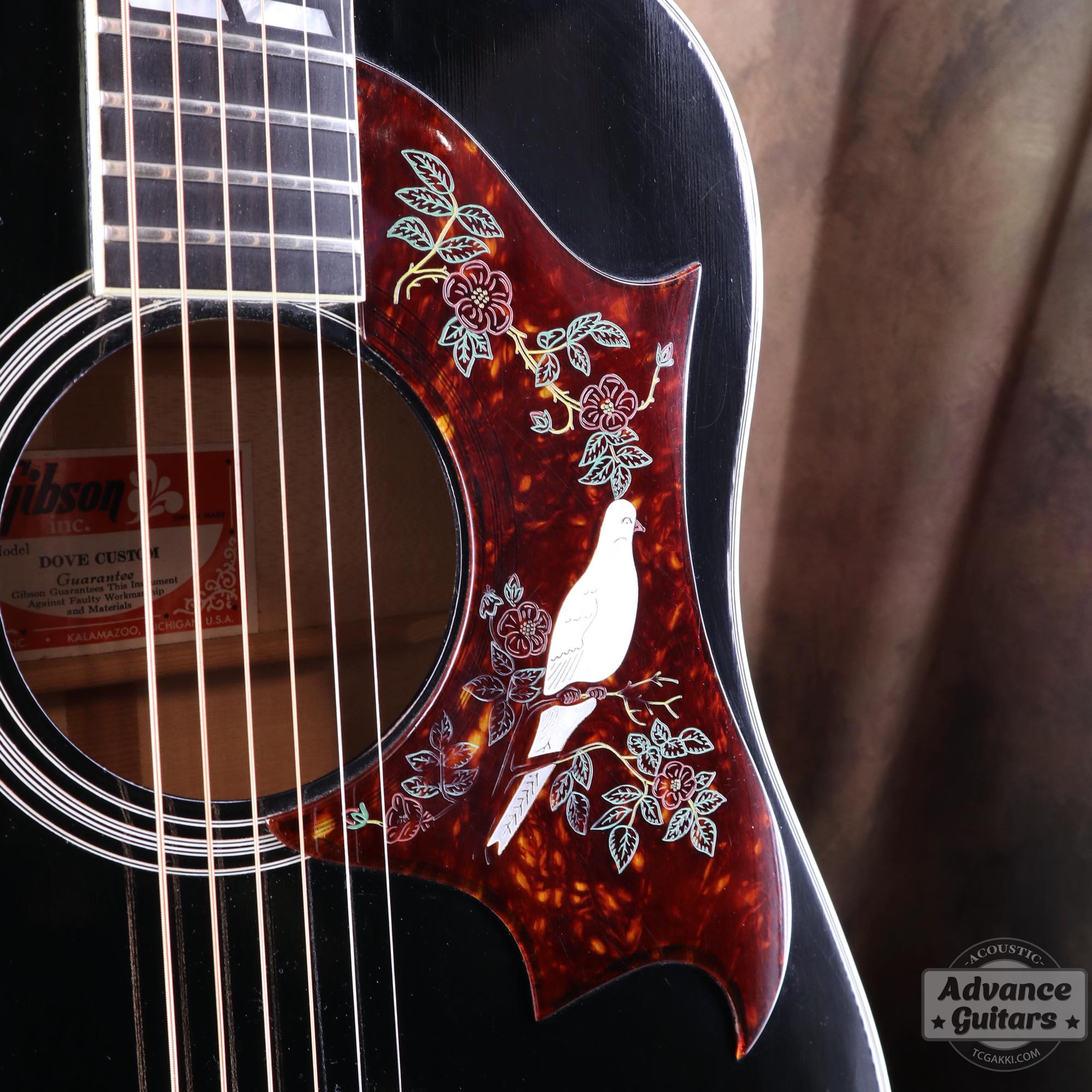 1974~1975年製 Dove Black - TC楽器 - TCGAKKI