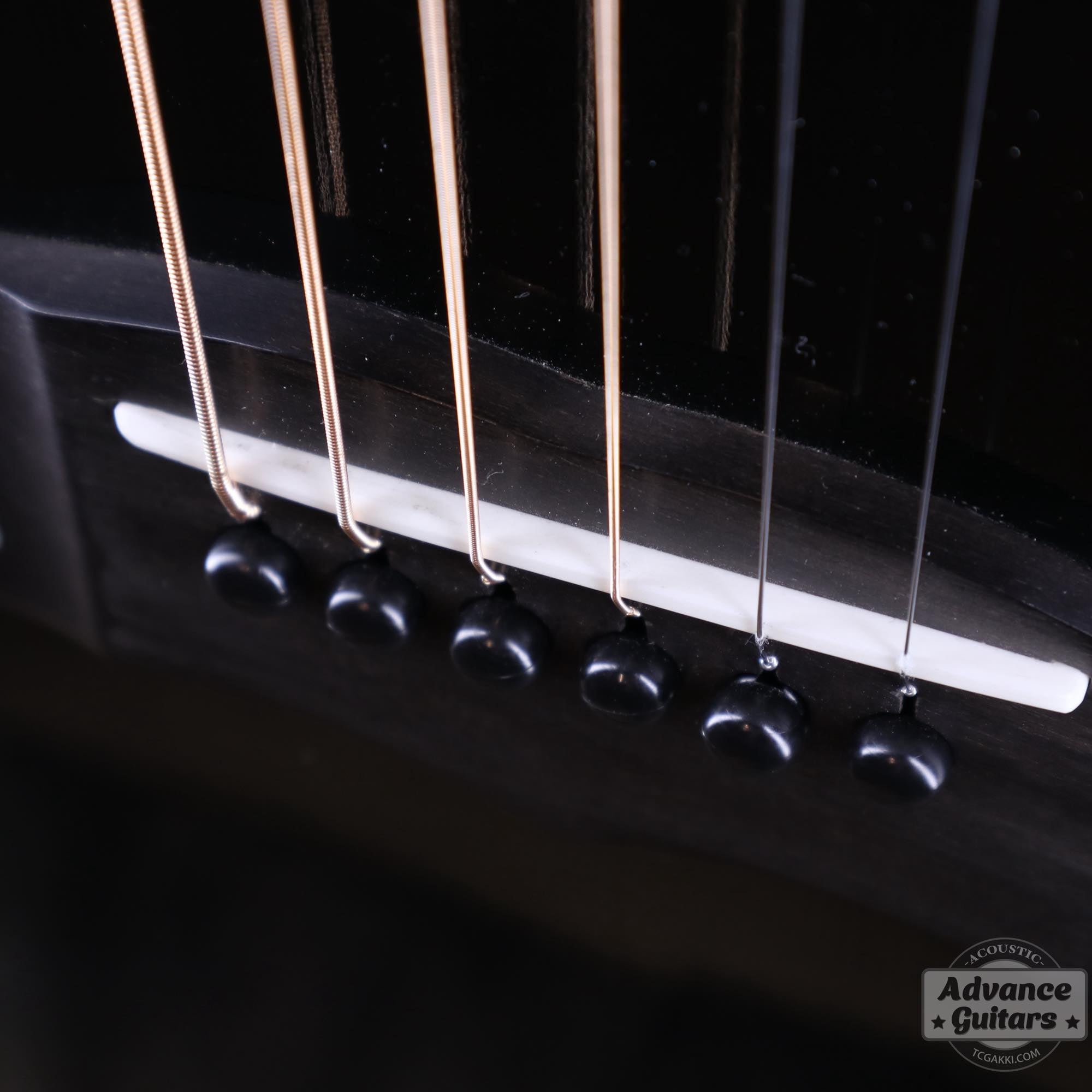 1974~1975年製 Dove Black - TC楽器 - TCGAKKI