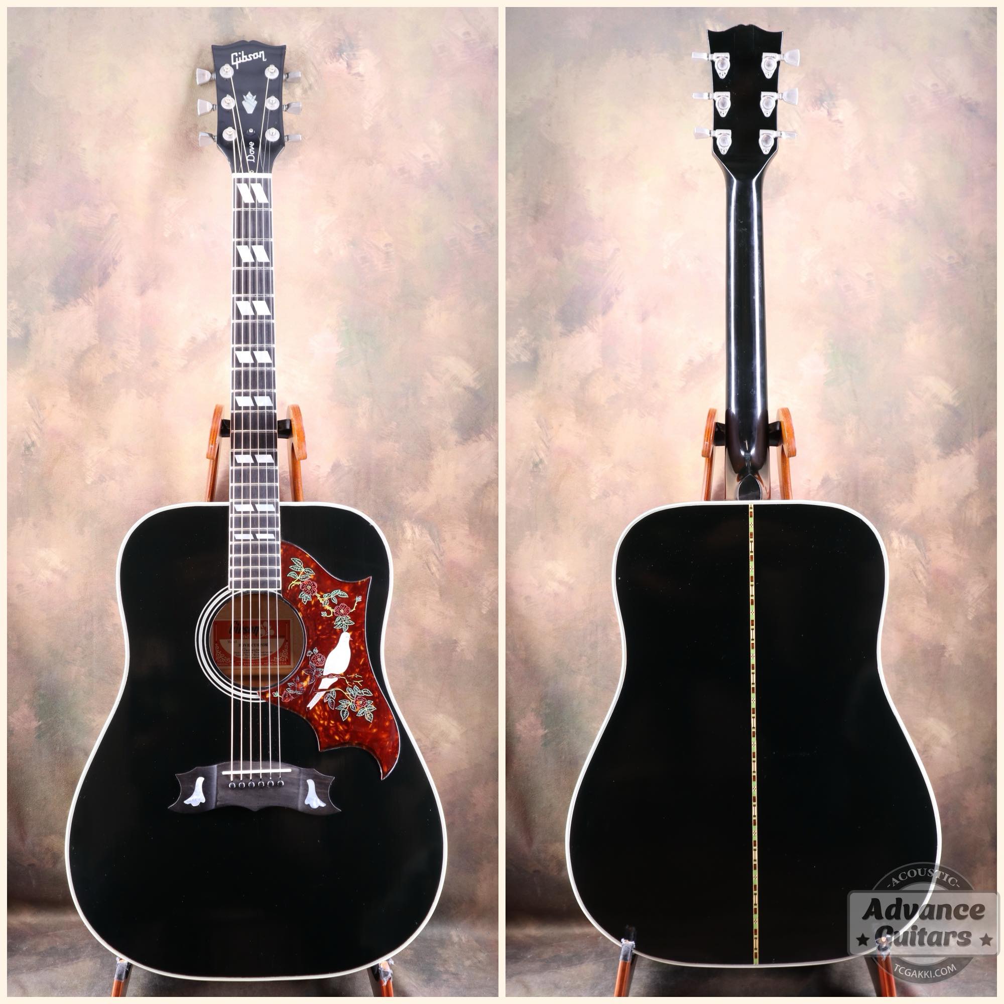 1974~1975年製 Dove Black - TC楽器 - TCGAKKI