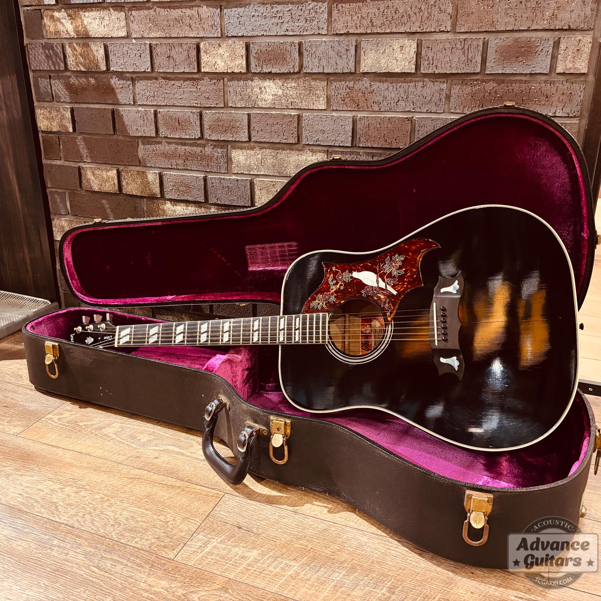 1974~1975年製 Dove Black - TC楽器 - TCGAKKI