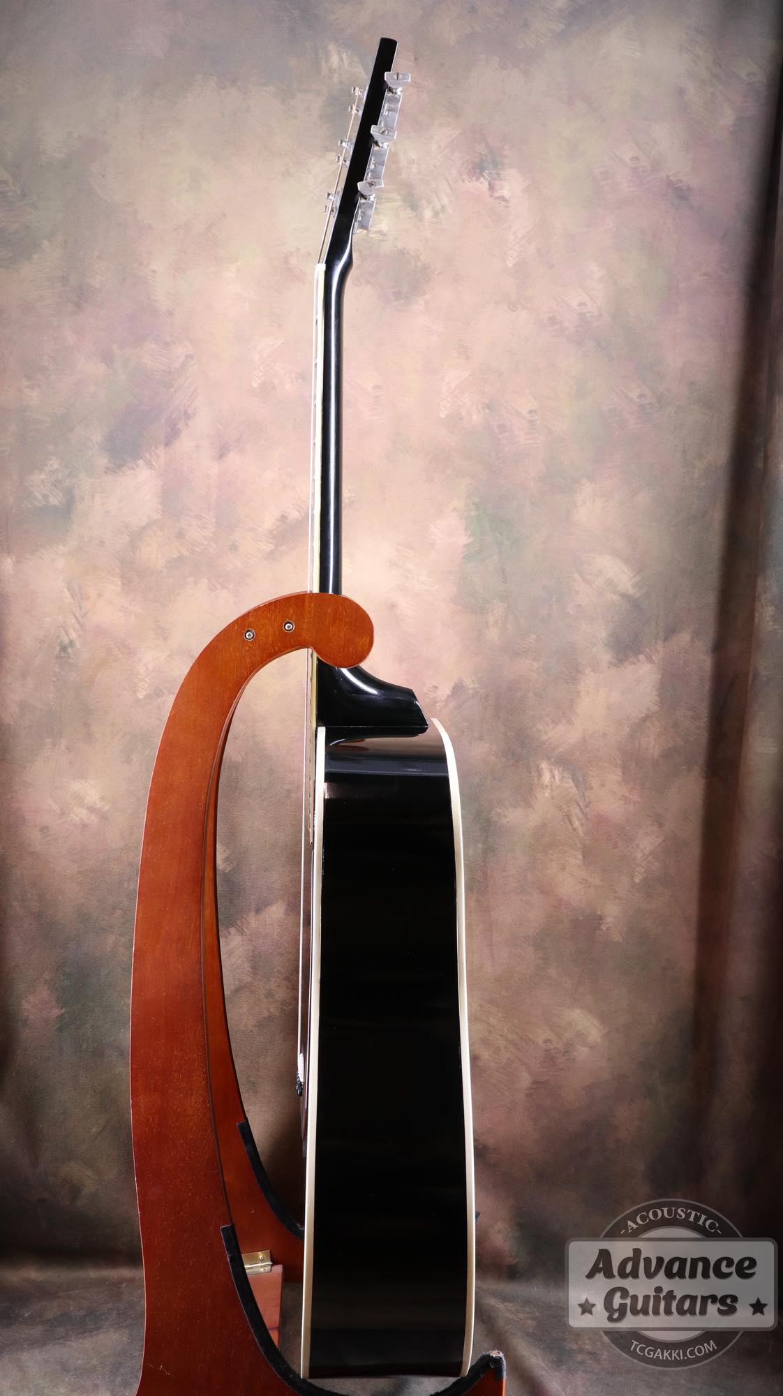 1974~1975年製 Dove Black - TC楽器 - TCGAKKI